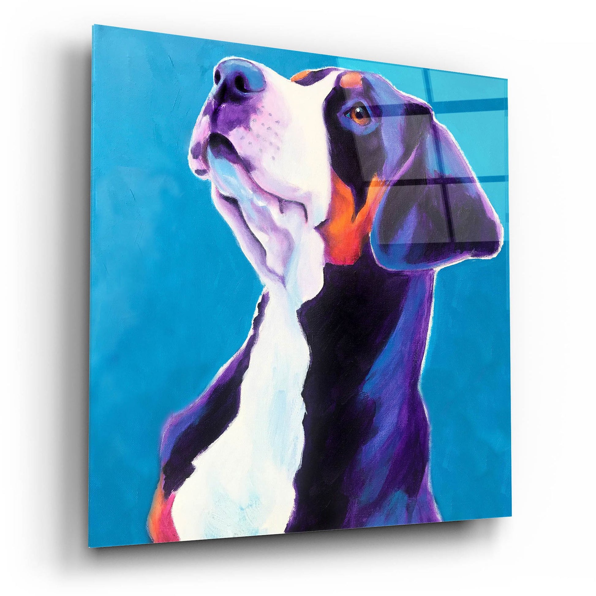 Epic Art 'Swissie - Puppy2 by Dawg Painter, Acrylic Glass Wall Art,12x12