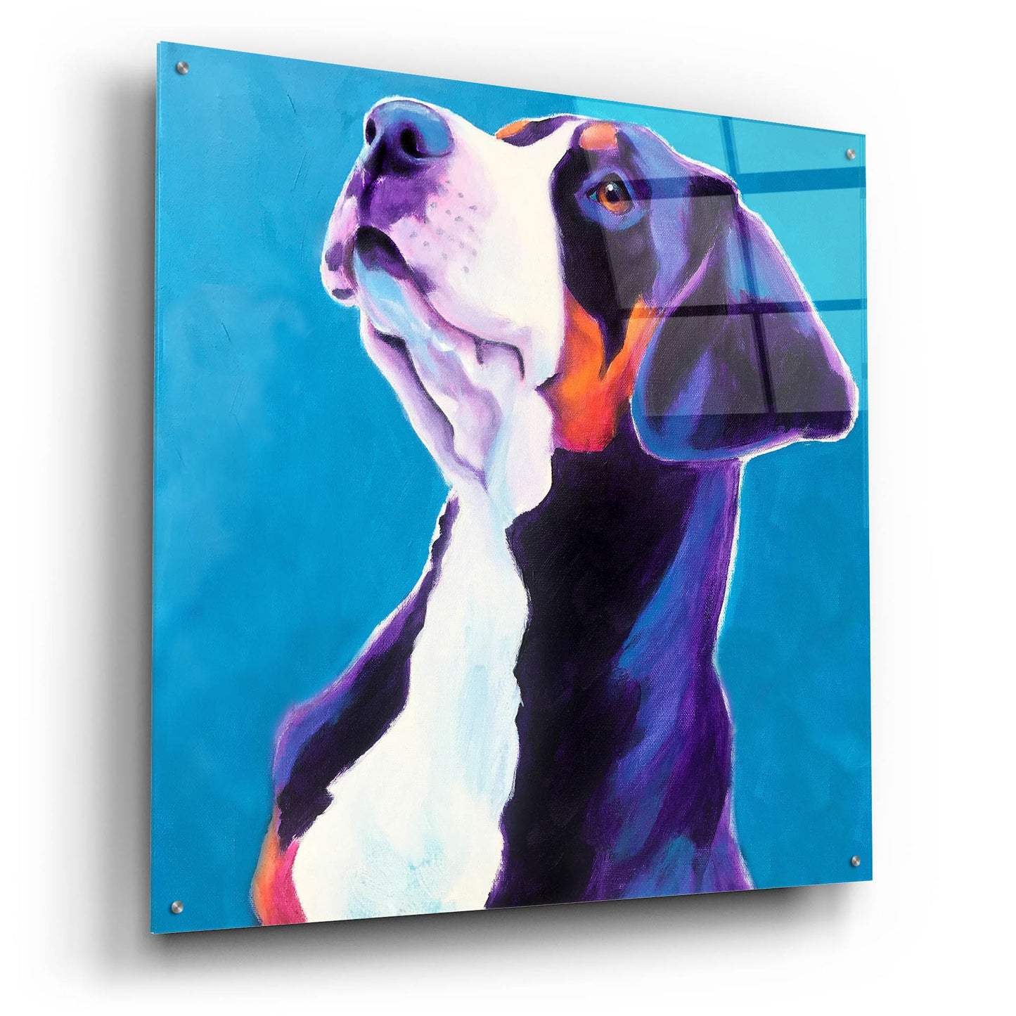 Epic Art 'Swissie - Puppy2 by Dawg Painter, Acrylic Glass Wall Art,36x36