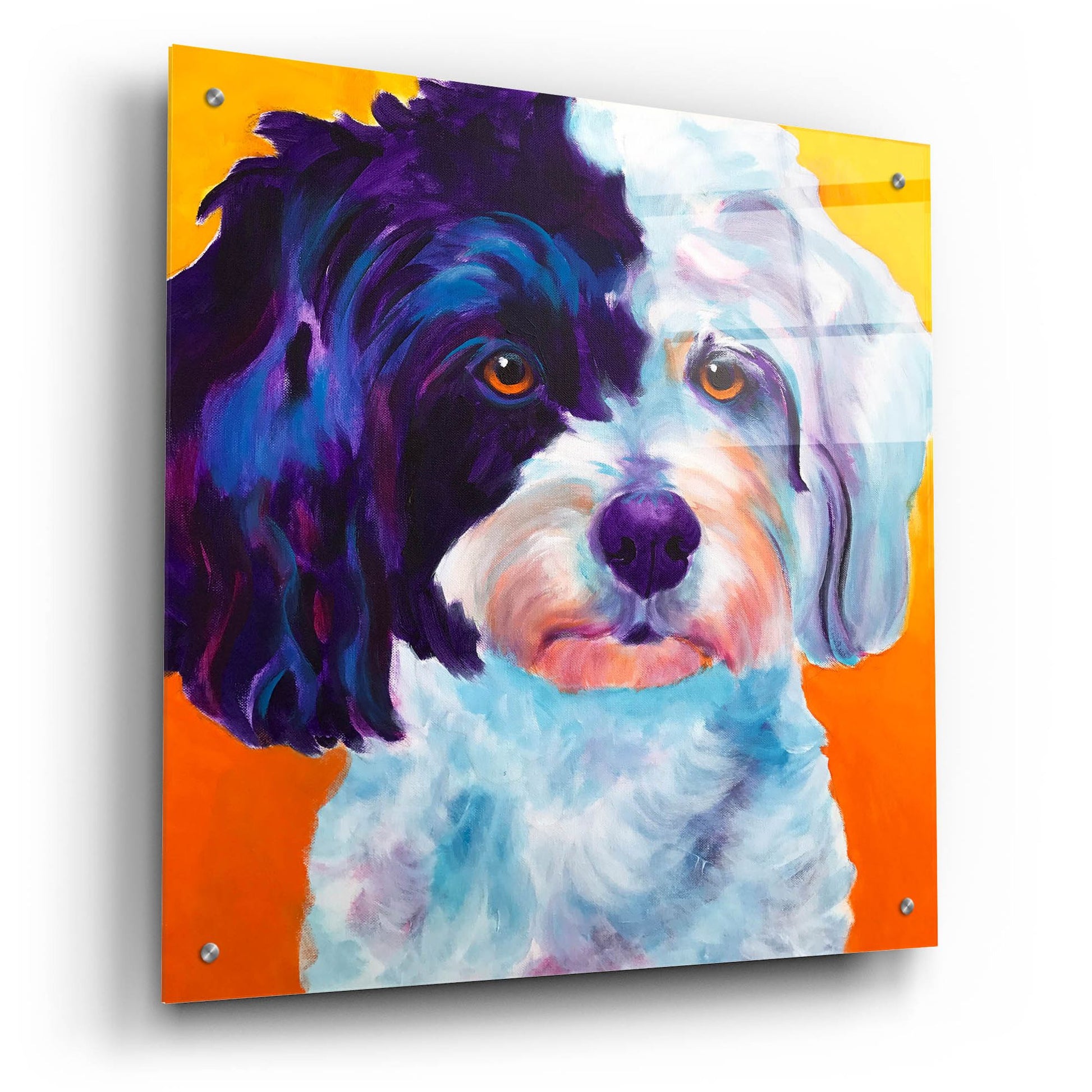 Epic Art 'Teddy Bear Dog2 by Dawg Painter, Acrylic Glass Wall Art,24x24