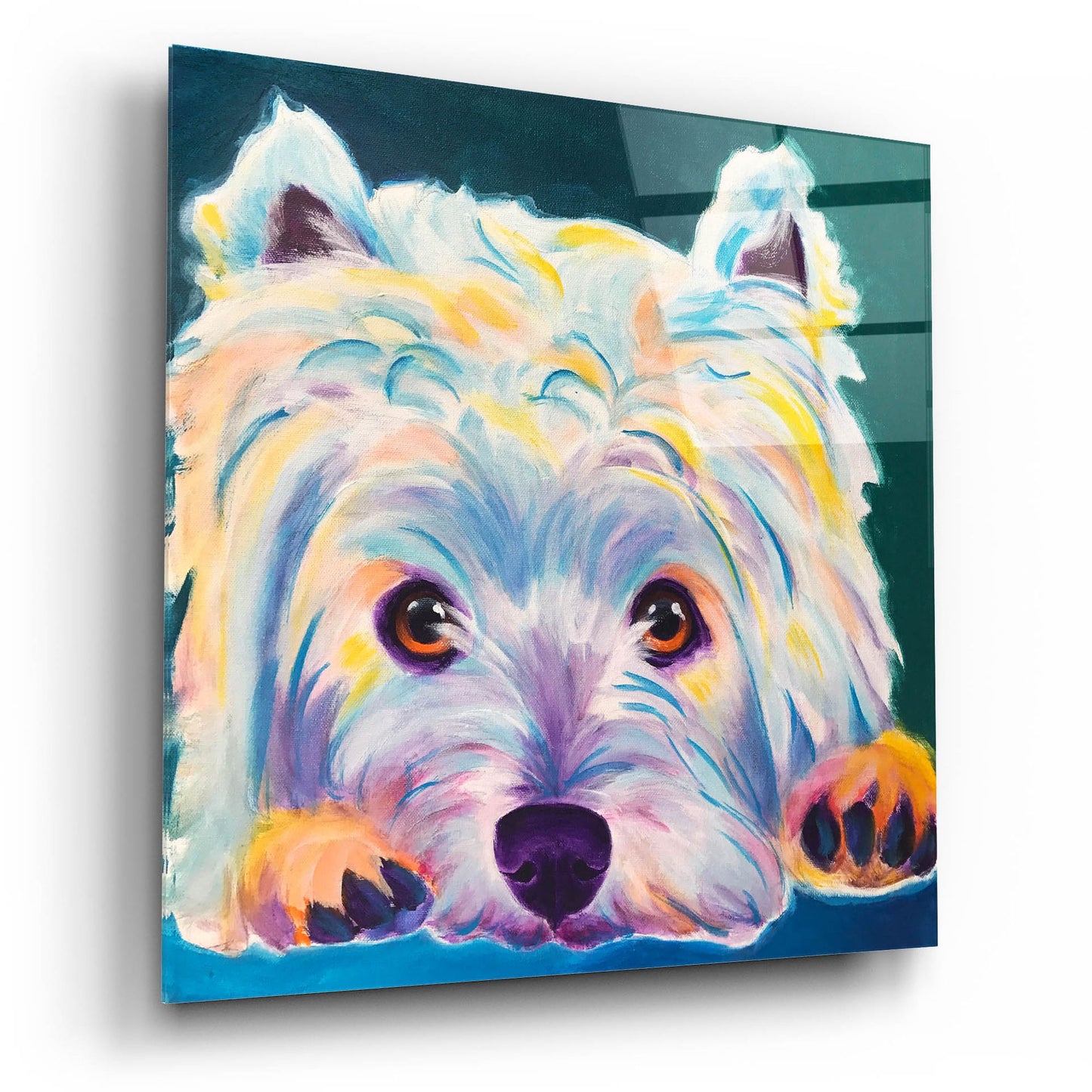 Epic Art 'Westie - Chispy 22 by Dawg Painter, Acrylic Glass Wall Art,12x12