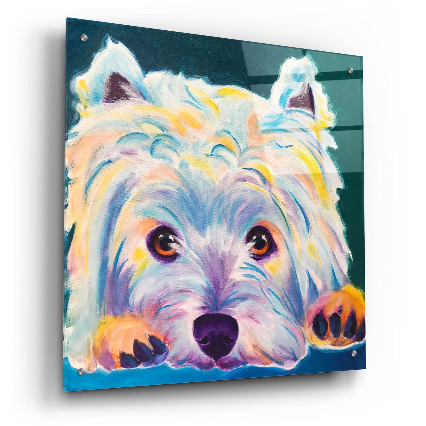 Epic Art 'Westie - Chispy 22 by Dawg Painter, Acrylic Glass Wall Art,24x24