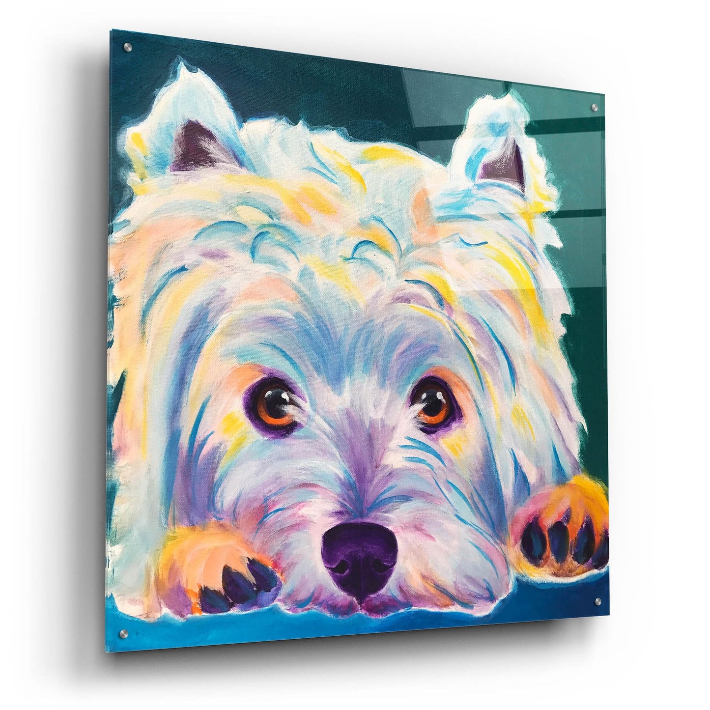 Epic Art 'Westie - Chispy 22 by Dawg Painter, Acrylic Glass Wall Art,36x36