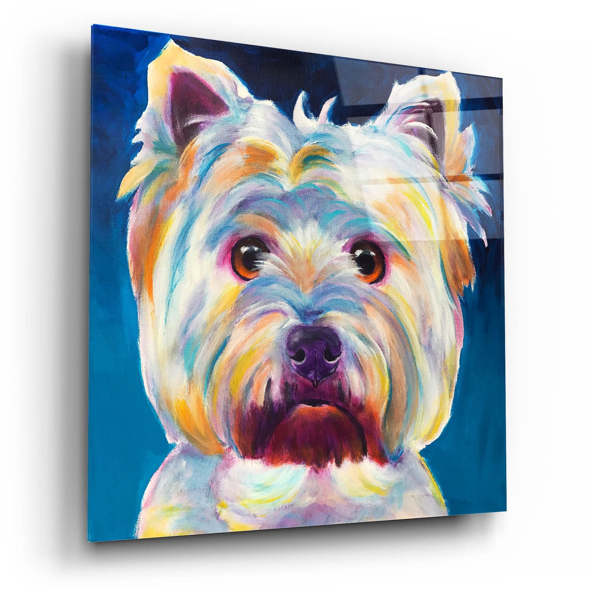 Epic Art 'Westie - Chispy2 by Dawg Painter, Acrylic Glass Wall Art,12x12