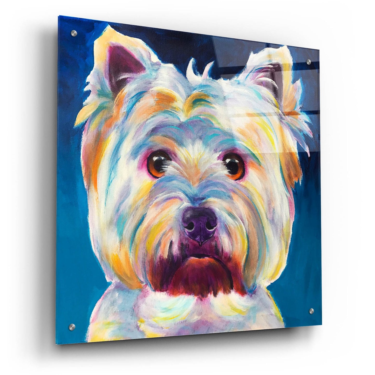 Epic Art 'Westie - Chispy2 by Dawg Painter, Acrylic Glass Wall Art,24x24