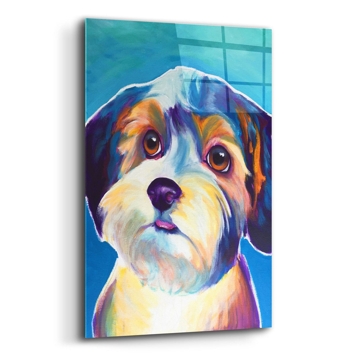 Epic Art 'Yorkipoo - Zoe2 by Dawg Painter, Acrylic Glass Wall Art,12x16