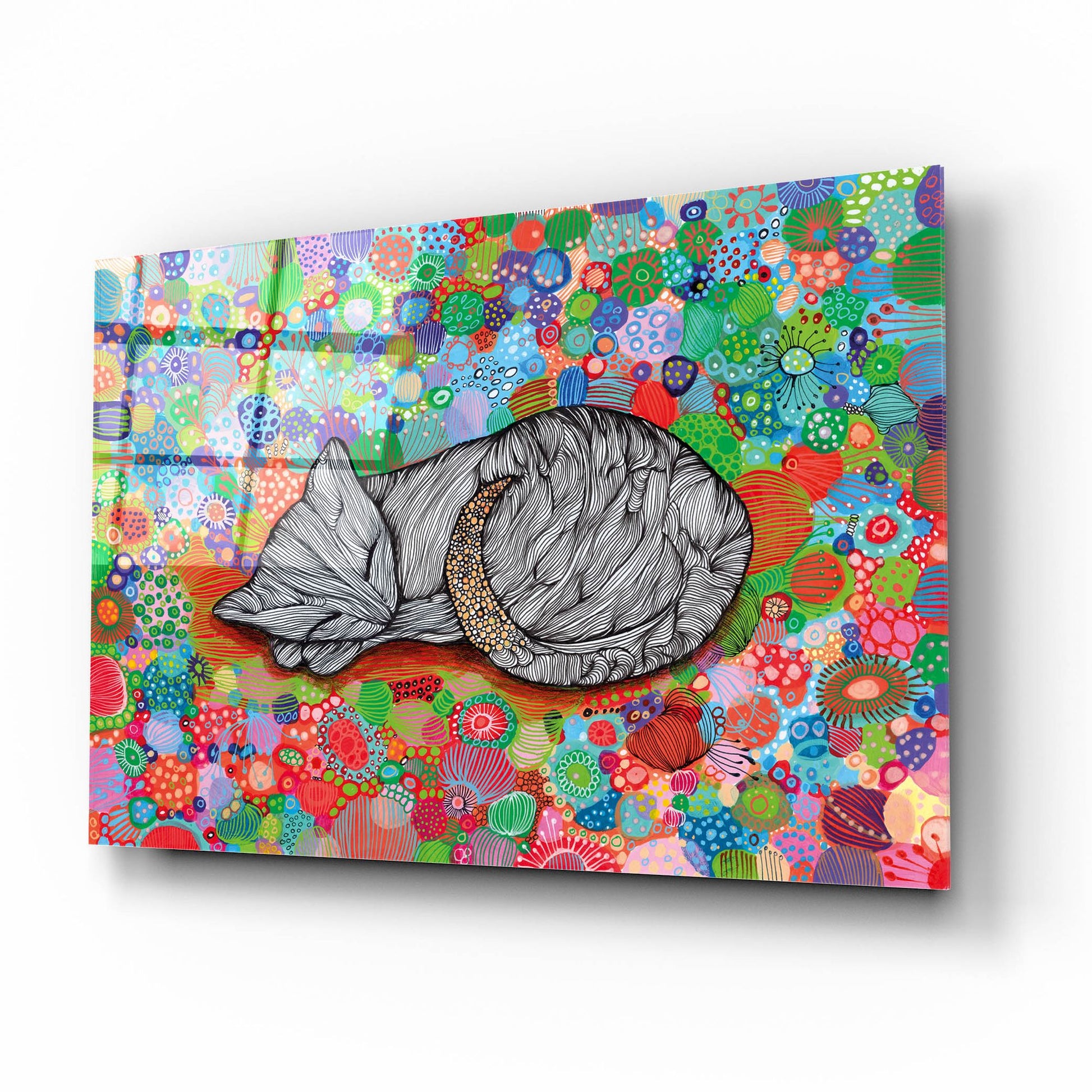 Epic Art 'Sleepy Cat2 by Noemi Ibarz, Acrylic Glass Wall Art,16x12