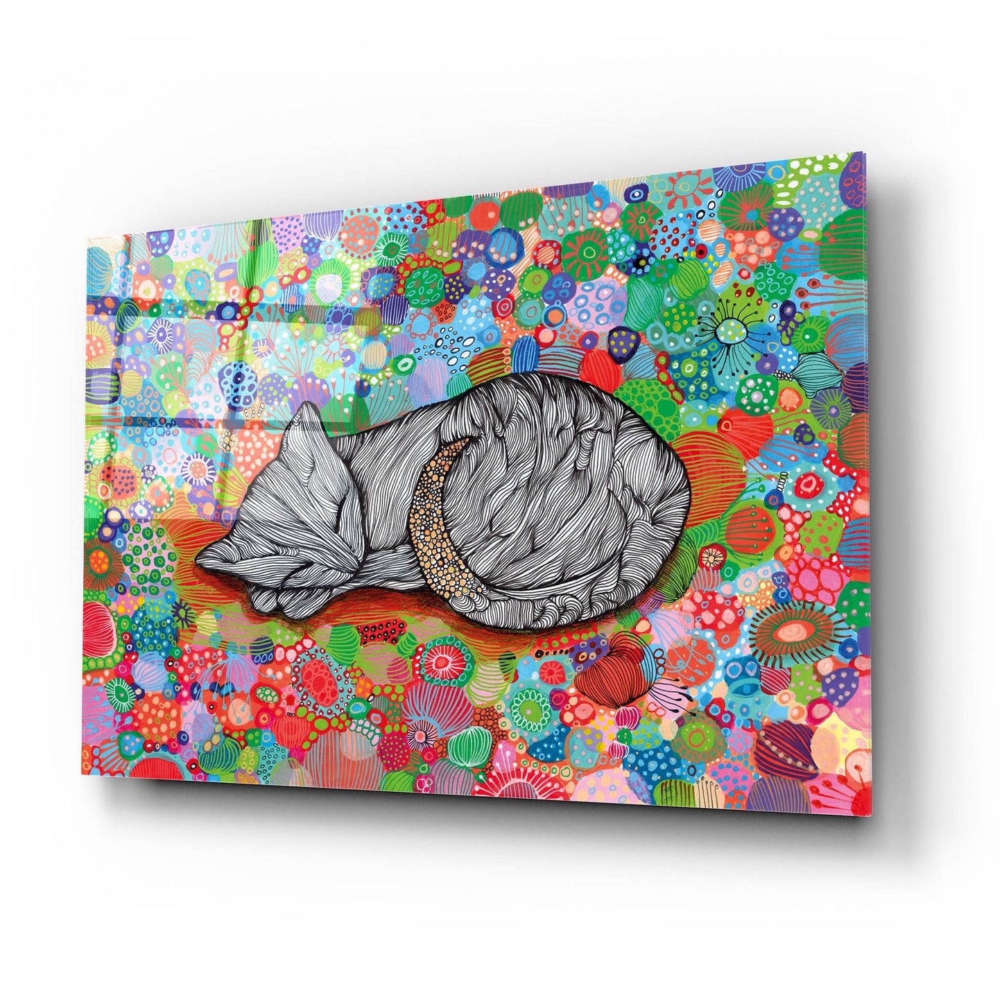 Epic Art 'Sleepy Cat2 by Noemi Ibarz, Acrylic Glass Wall Art,24x16