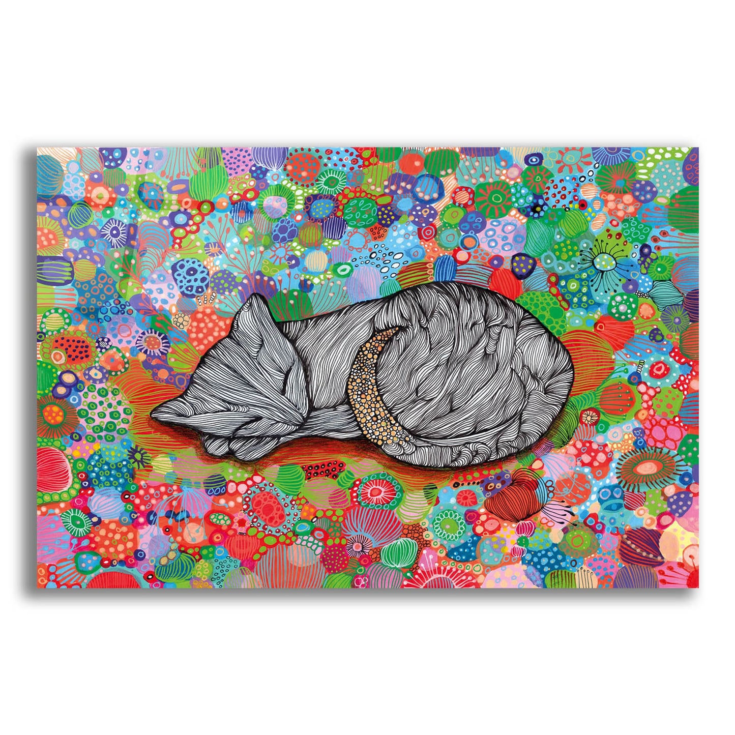 Epic Art 'Sleepy Cat2 by Noemi Ibarz, Acrylic Glass Wall Art,24x16