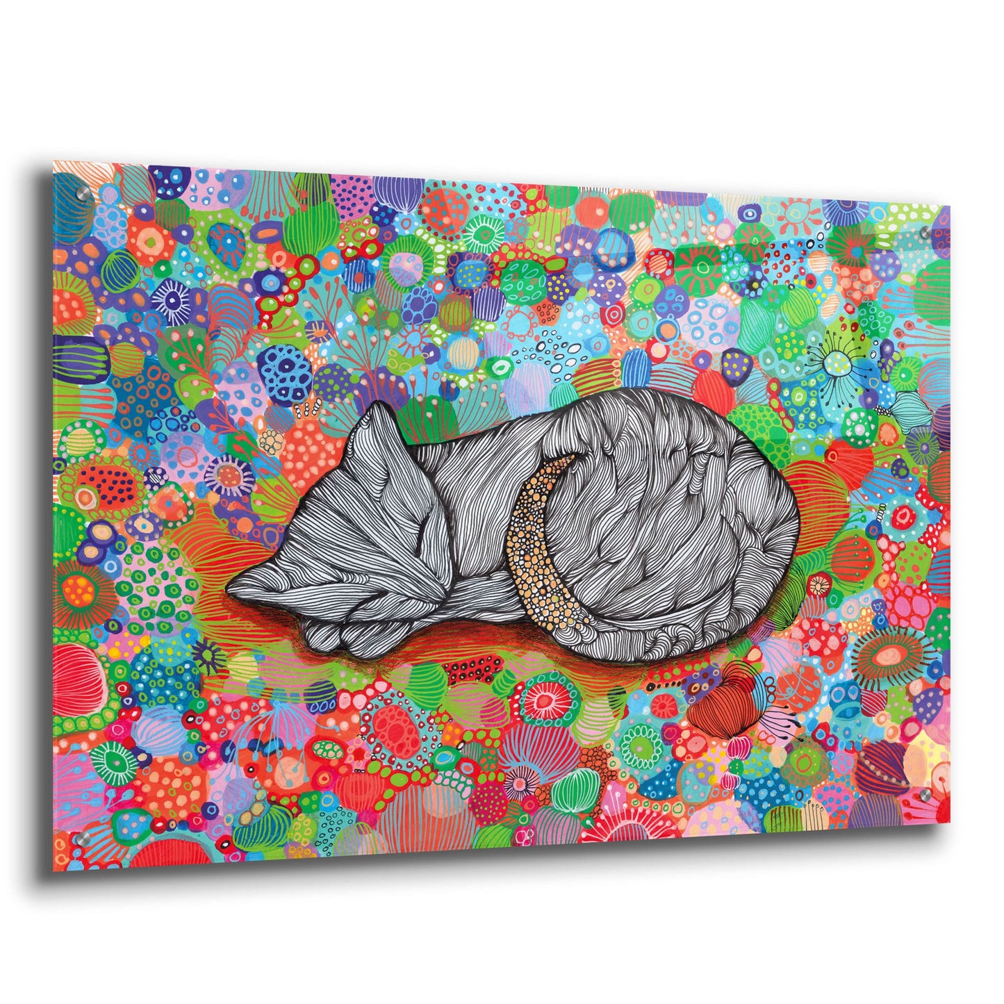 Epic Art 'Sleepy Cat2 by Noemi Ibarz, Acrylic Glass Wall Art,36x24