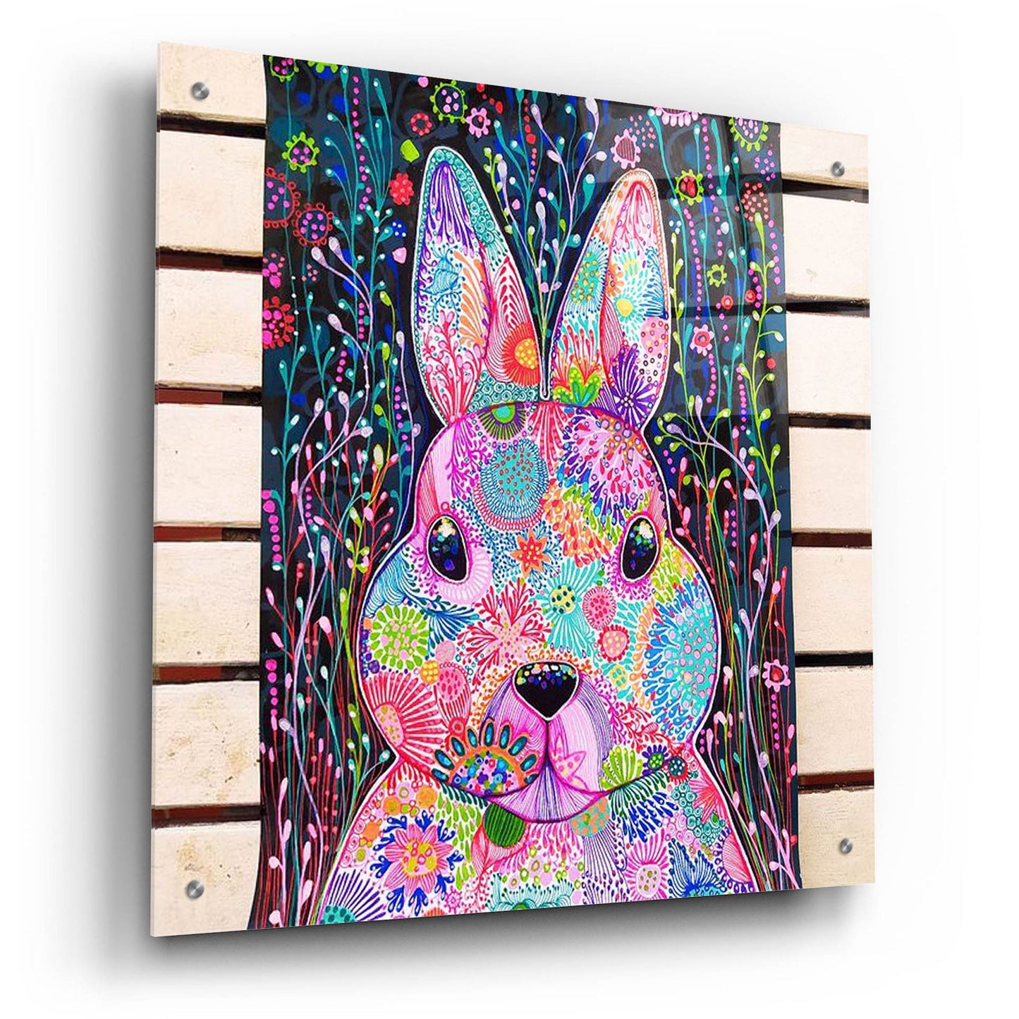 Epic Art 'Bunny2 by Noemi Ibarz, Acrylic Glass Wall Art,24x24