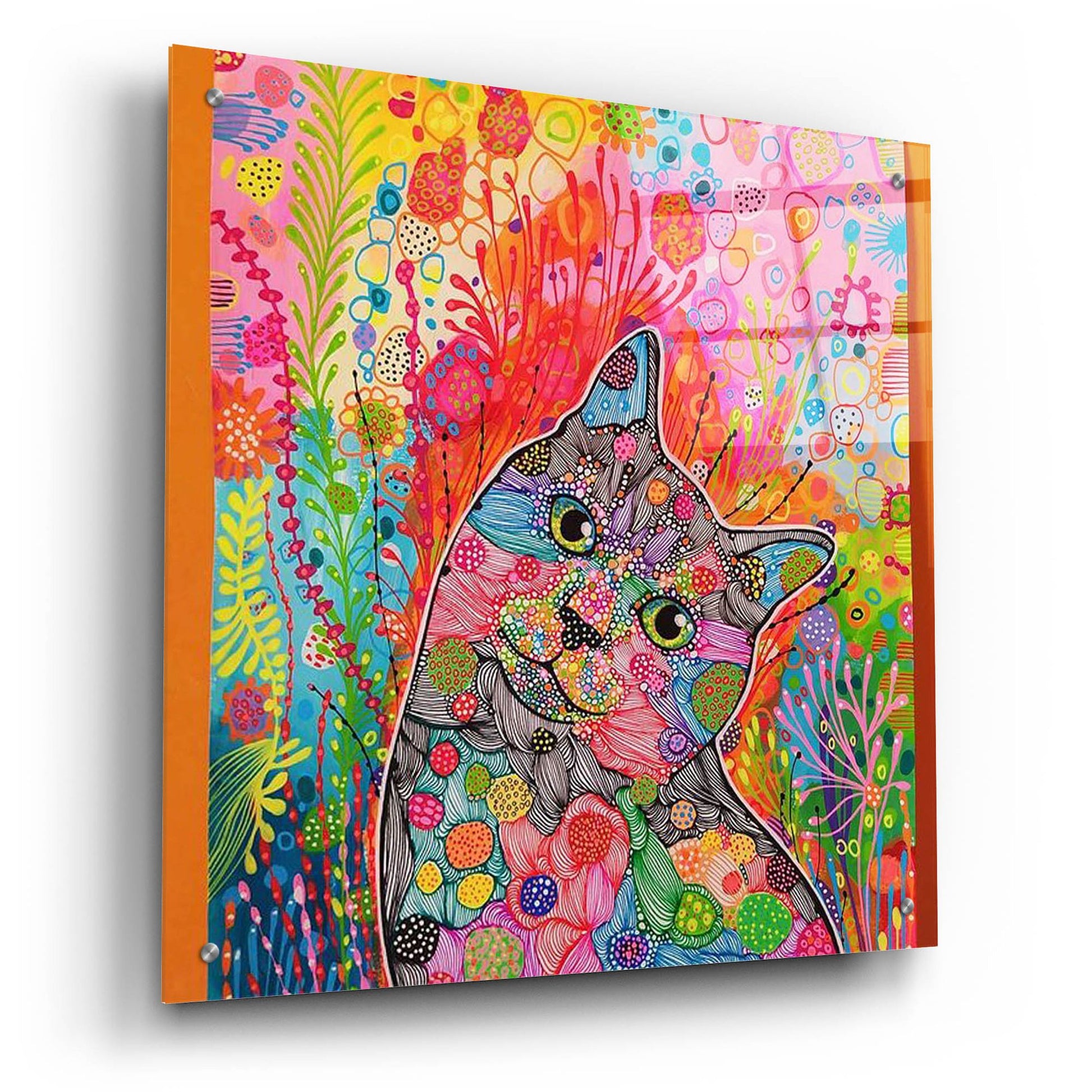 Epic Art 'Rainbow Cat2 by Noemi Ibarz, Acrylic Glass Wall Art,24x24