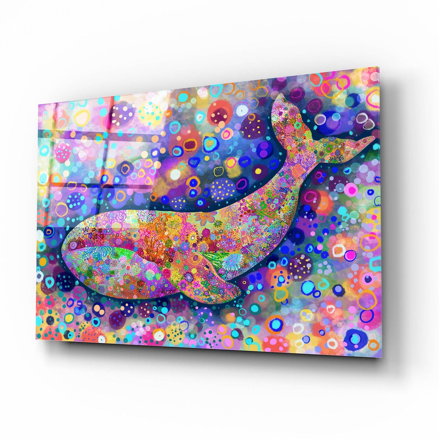 Epic Art 'Fondo Ballena2 by Noemi Ibarz, Acrylic Glass Wall Art,16x12