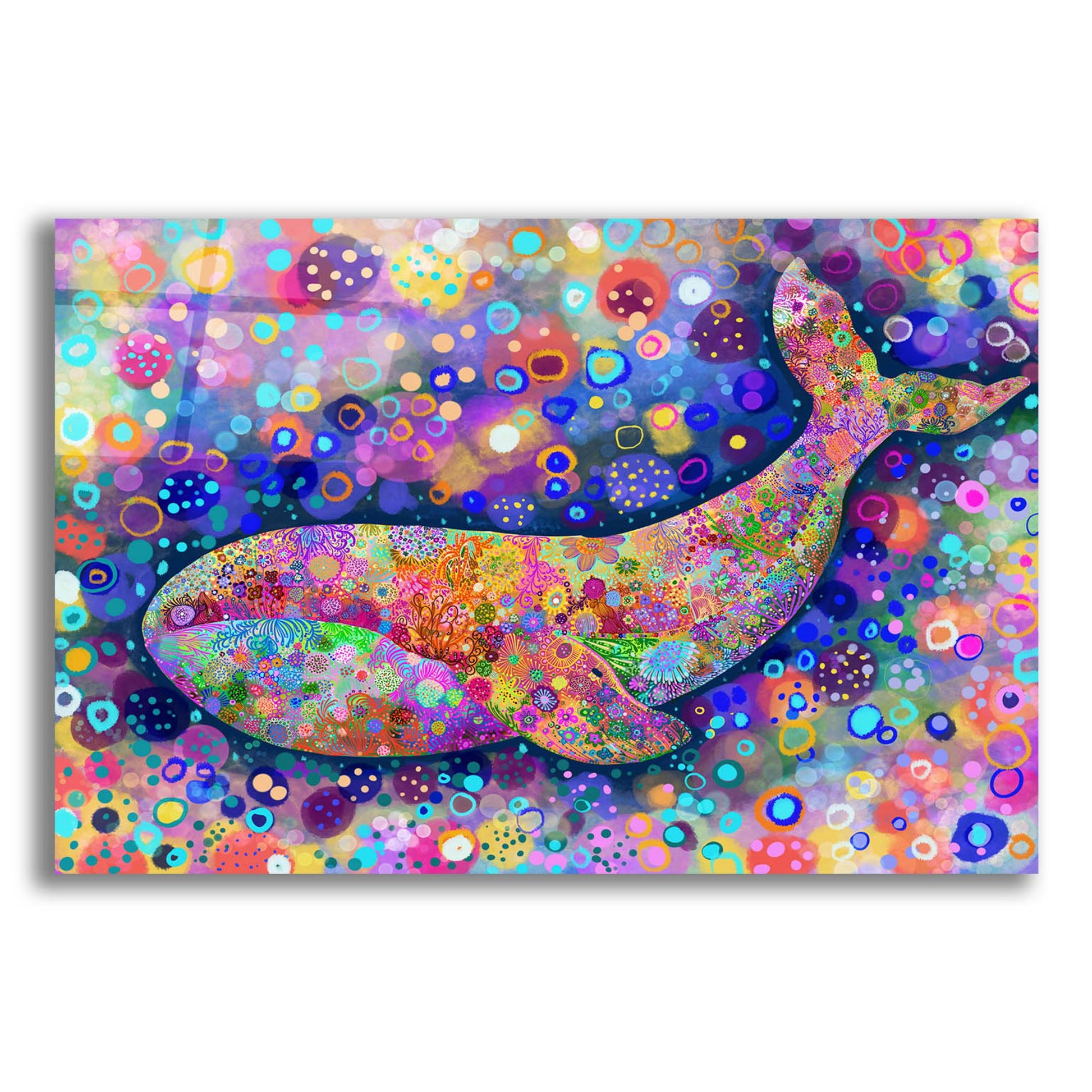 Epic Art 'Fondo Ballena2 by Noemi Ibarz, Acrylic Glass Wall Art,24x16