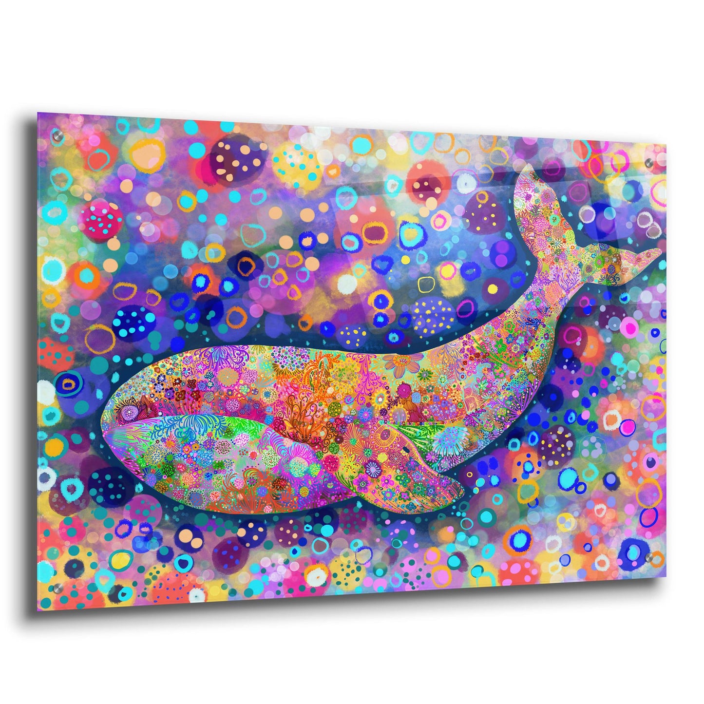 Epic Art 'Fondo Ballena2 by Noemi Ibarz, Acrylic Glass Wall Art,36x24