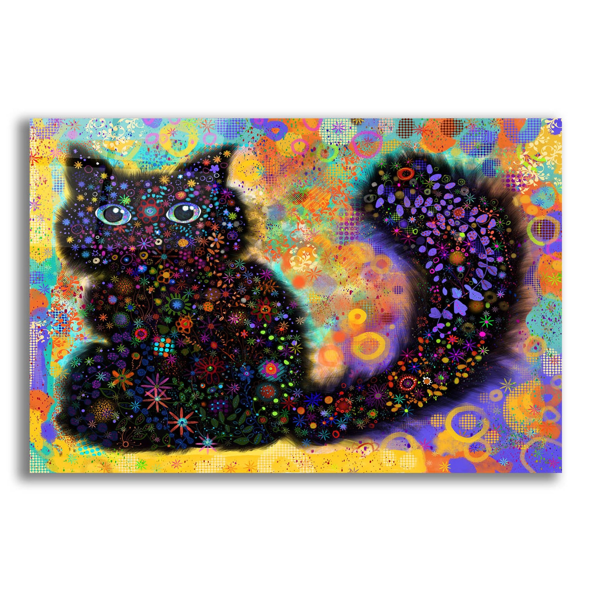 Epic Art 'Black Cat2v2 by Noemi Ibarz, Acrylic Glass Wall Art,24x16