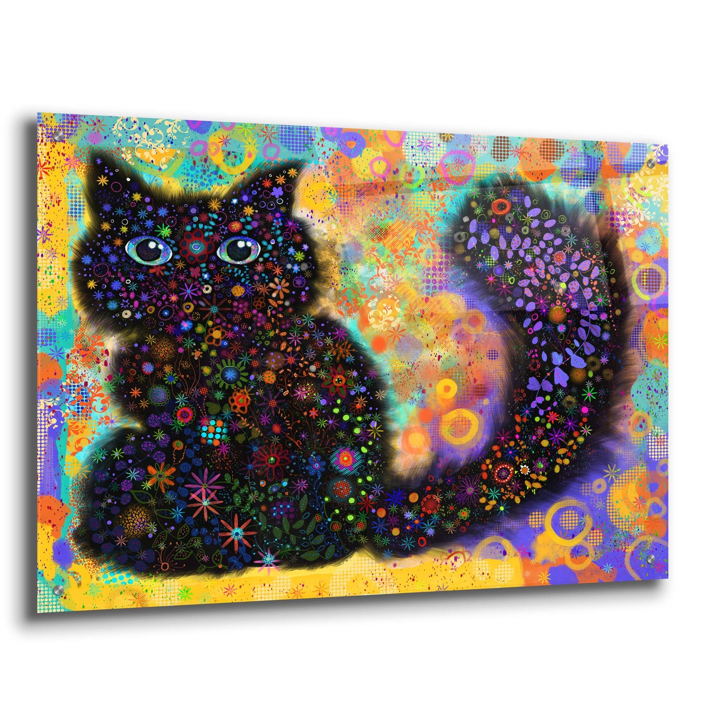 Epic Art 'Black Cat2v2 by Noemi Ibarz, Acrylic Glass Wall Art,36x24