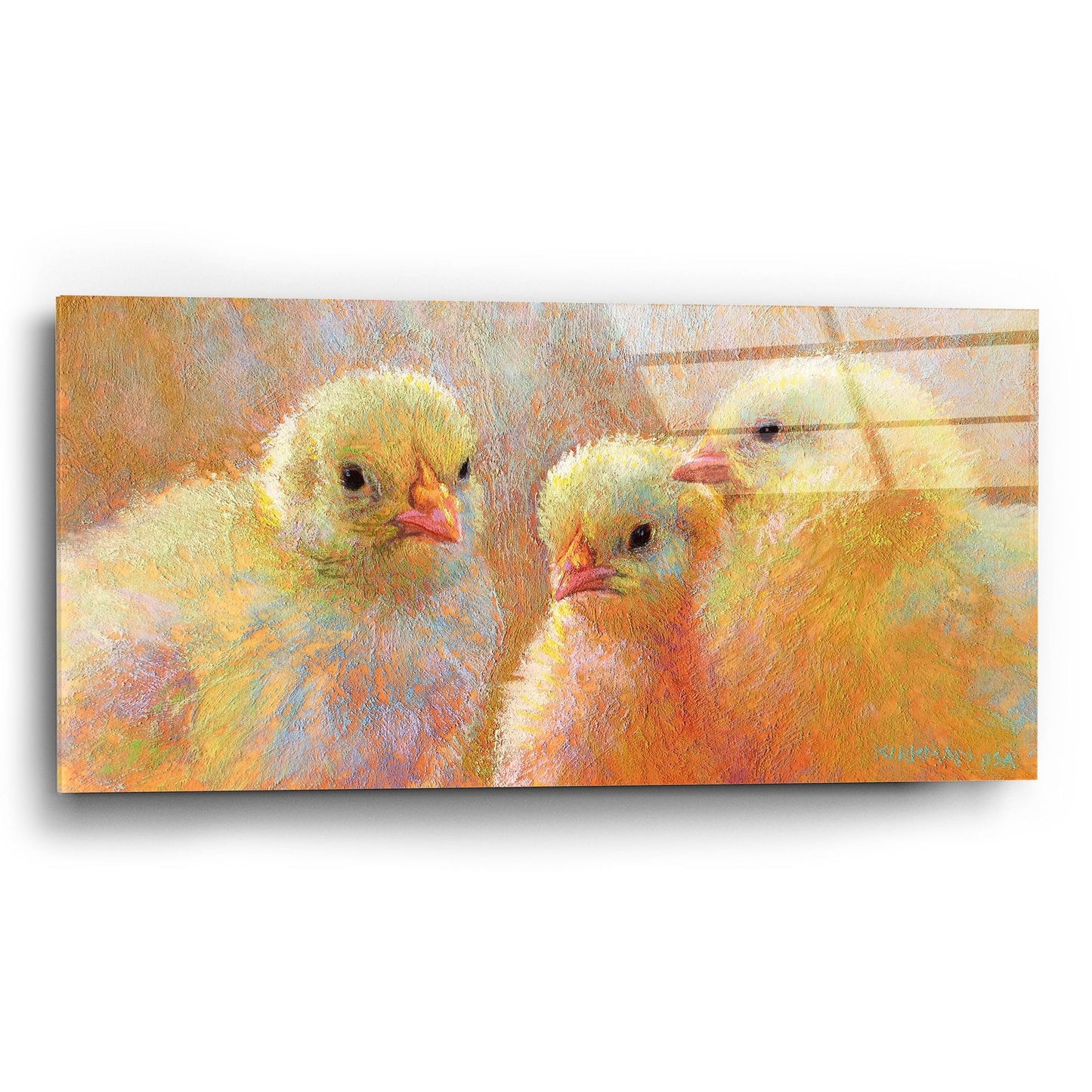 Epic Art 'Chick Clique 2 by Rita Kirkman, Acrylic Glass Wall Art,24x12