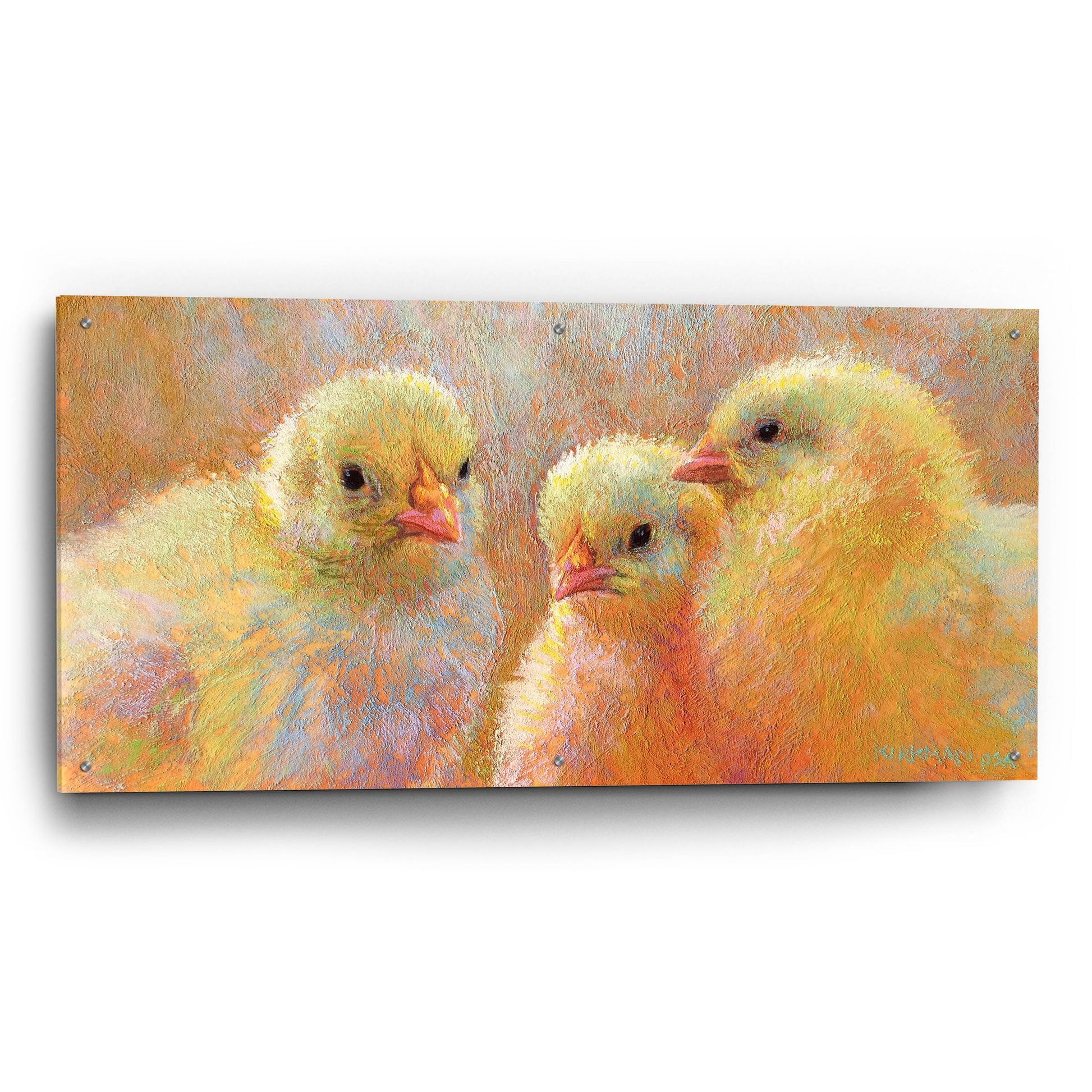 Epic Art 'Chick Clique 2 by Rita Kirkman, Acrylic Glass Wall Art,48x24