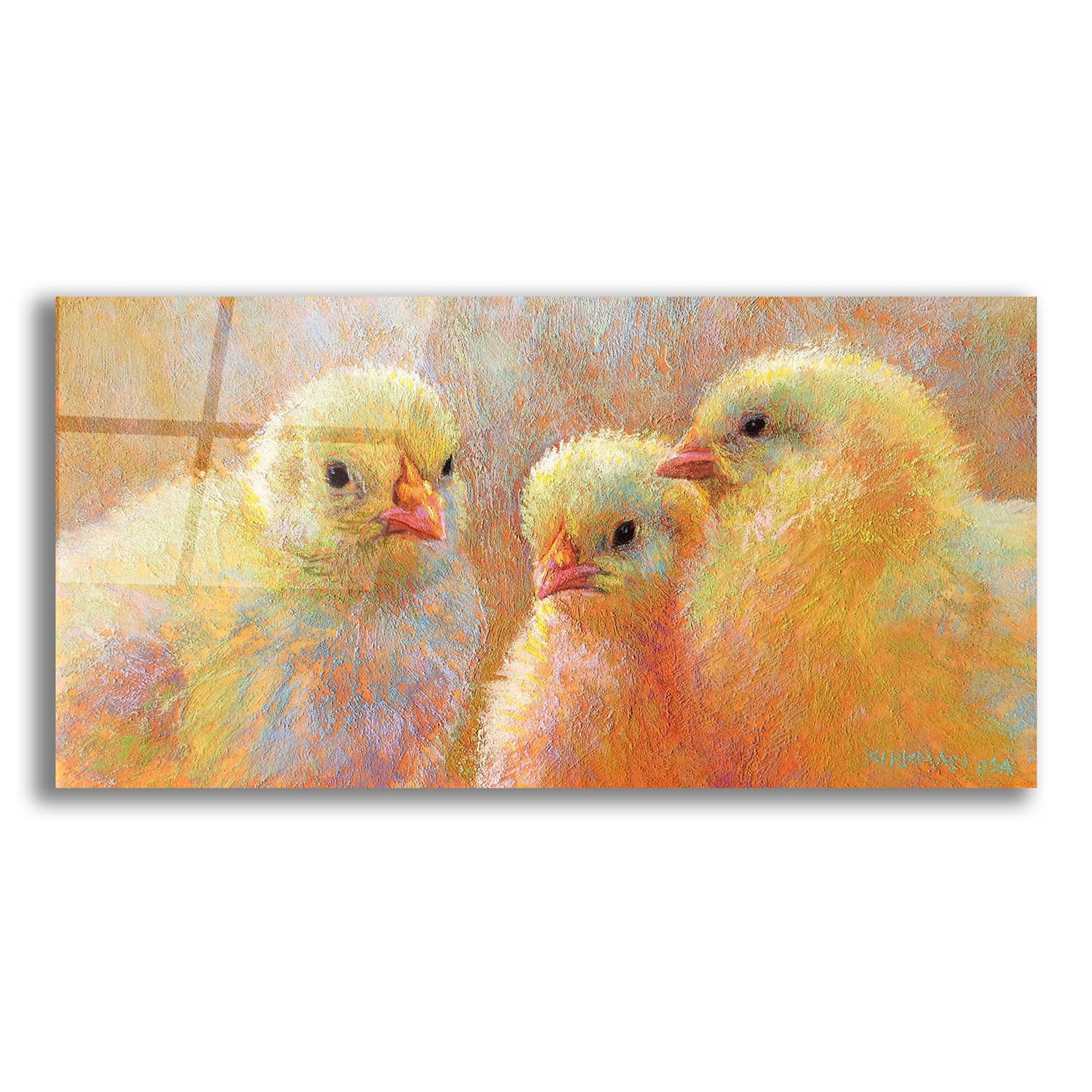 Epic Art 'Chick Clique 2 by Rita Kirkman, Acrylic Glass Wall Art