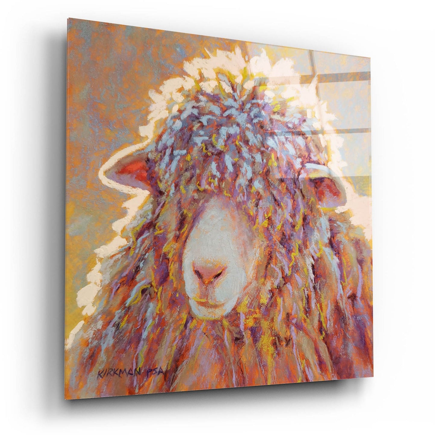 Epic Art 'Shaggy Sheep 2 by Rita Kirkman, Acrylic Glass Wall Art,12x12