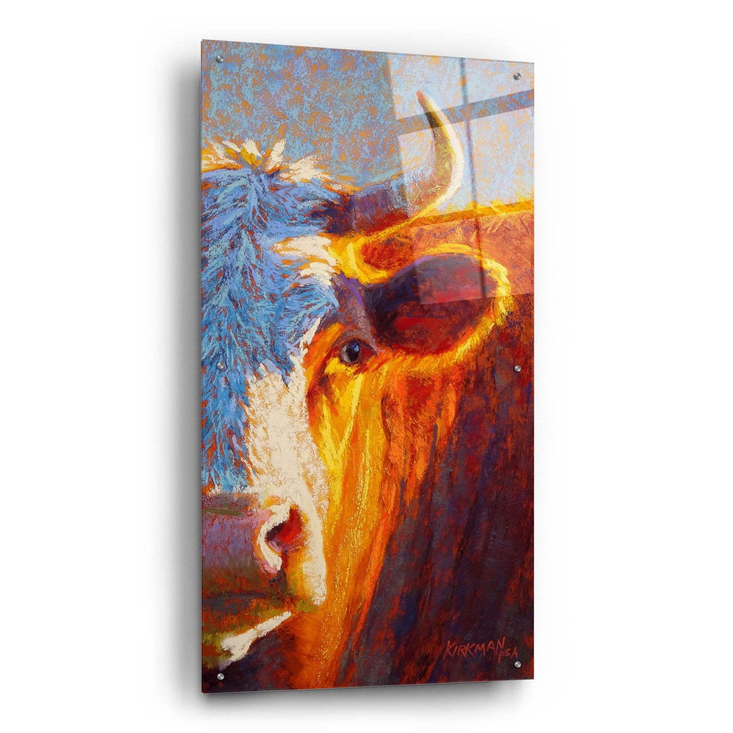 Epic Art 'Half-Faced Hereford 2 by Rita Kirkman, Acrylic Glass Wall Art,24x48