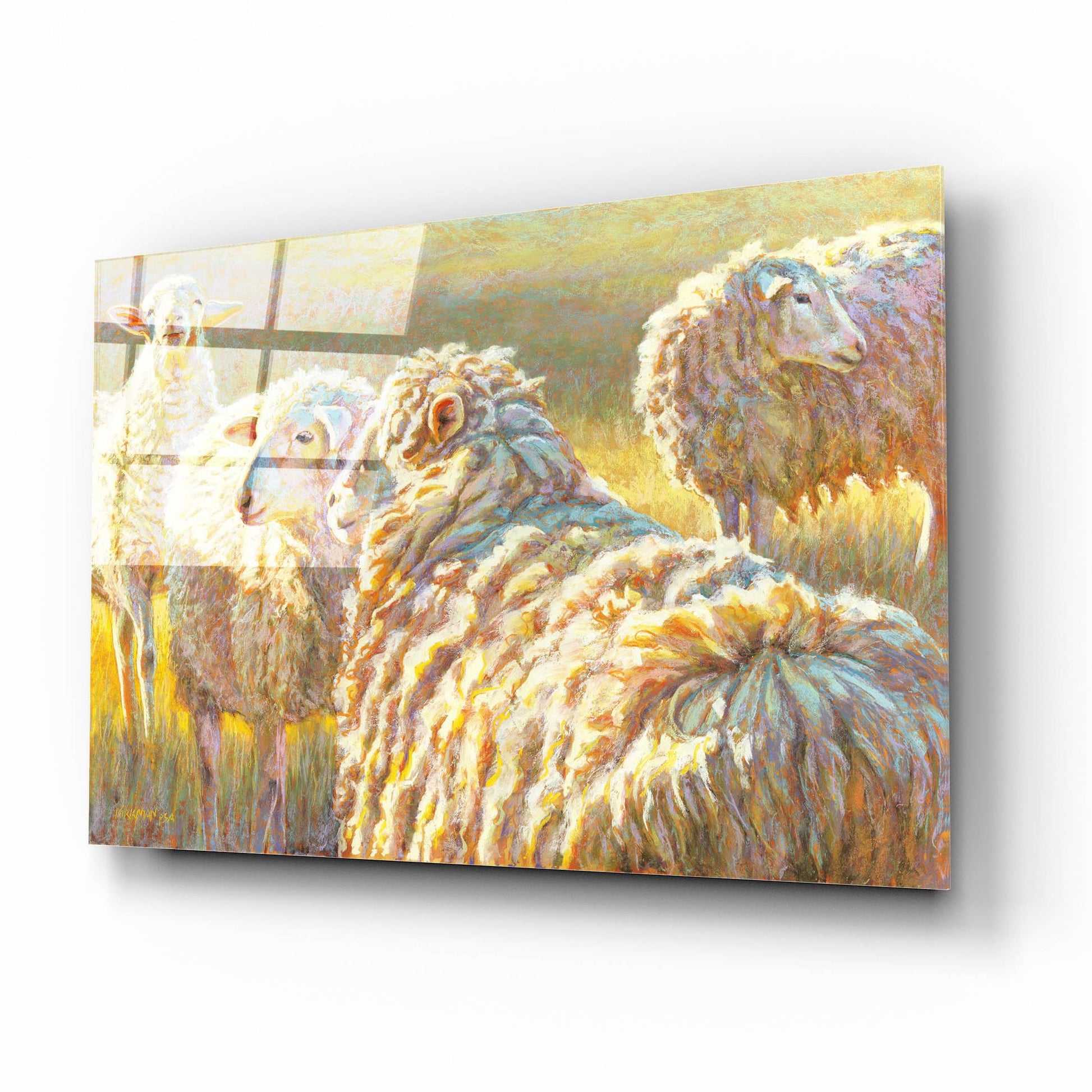 Epic Art 'Sheep Schemes2 by Rita Kirkman, Acrylic Glass Wall Art,16x12