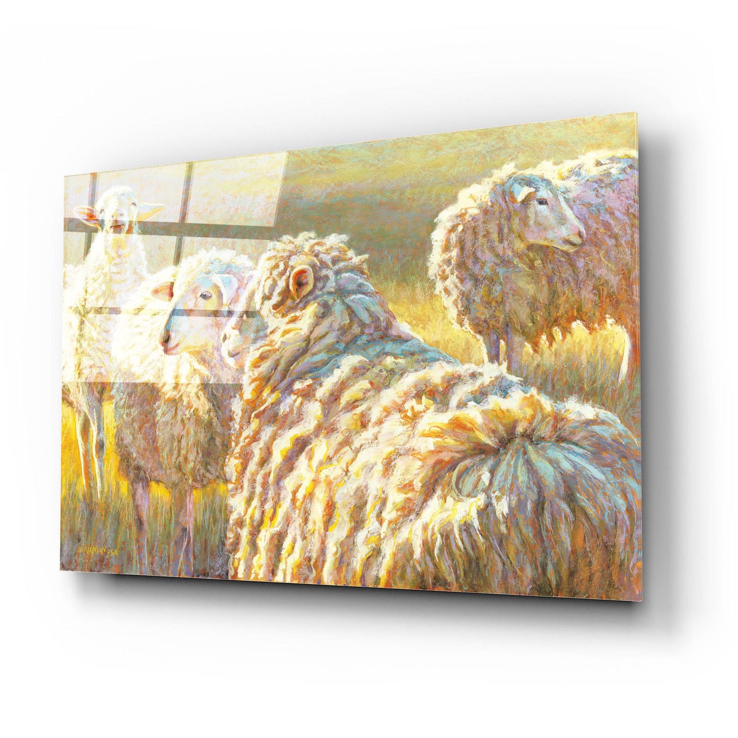 Epic Art 'Sheep Schemes2 by Rita Kirkman, Acrylic Glass Wall Art,24x16