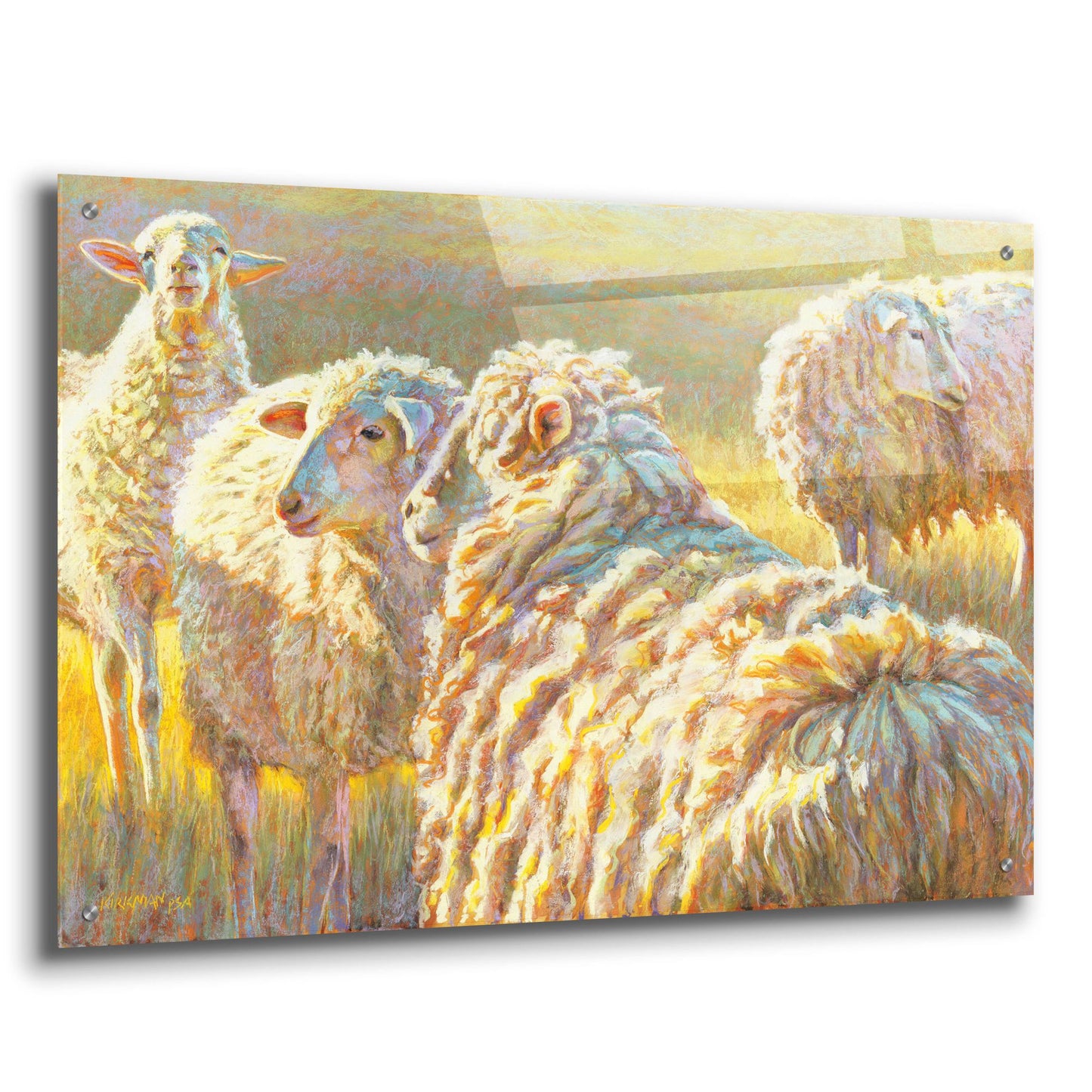 Epic Art 'Sheep Schemes2 by Rita Kirkman, Acrylic Glass Wall Art,36x24