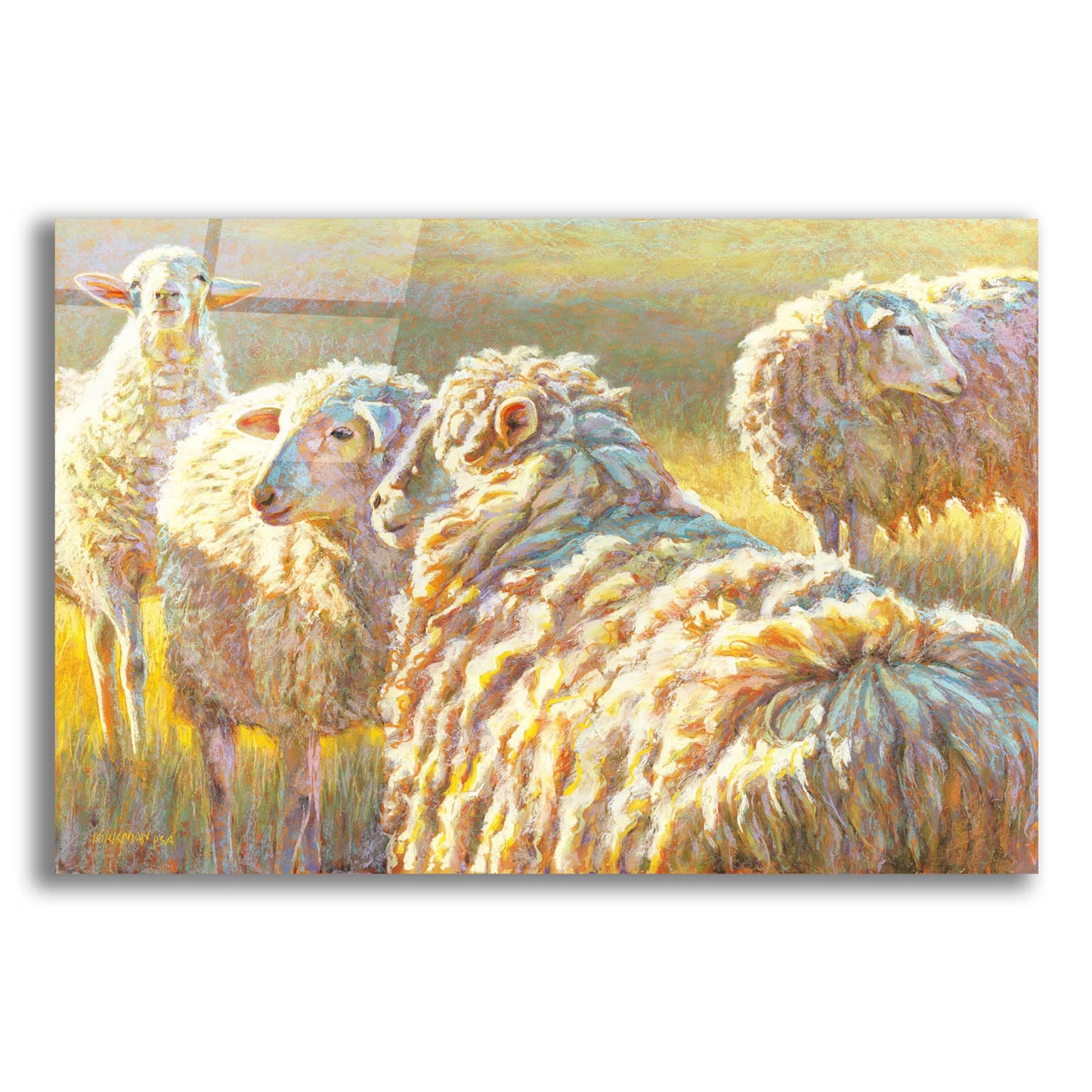 Epic Art 'Sheep Schemes2 by Rita Kirkman, Acrylic Glass Wall Art