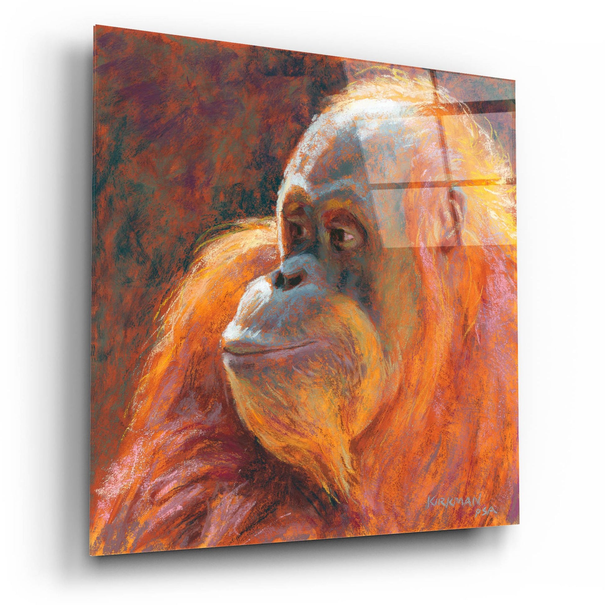 Epic Art 'O Is For Orangutan 2 by Rita Kirkman, Acrylic Glass Wall Art,12x12