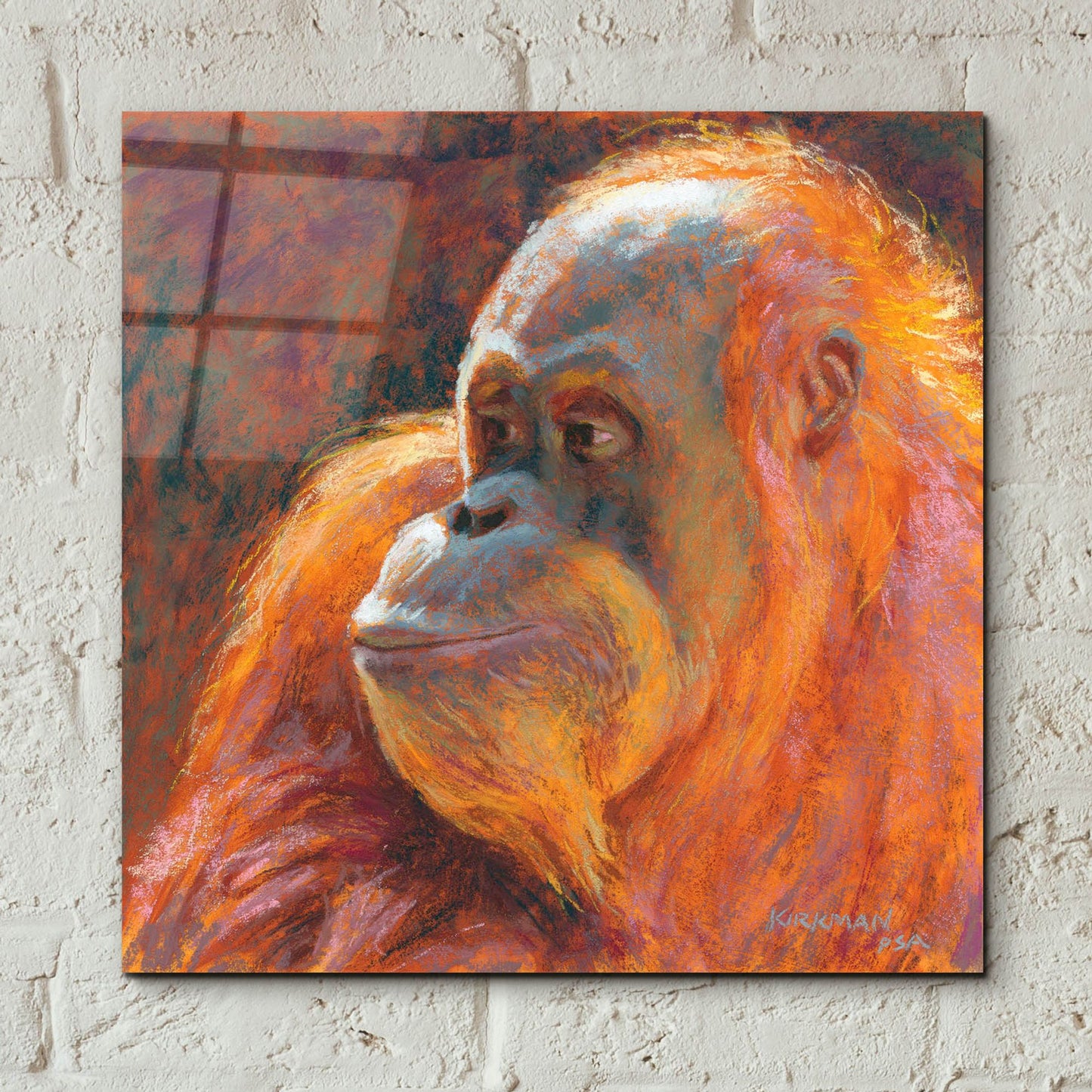 Epic Art 'O Is For Orangutan 2 by Rita Kirkman, Acrylic Glass Wall Art,12x12