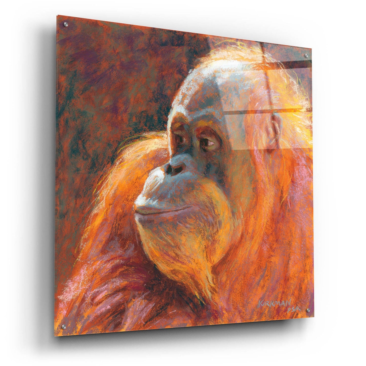 Epic Art 'O Is For Orangutan 2 by Rita Kirkman, Acrylic Glass Wall Art,36x36