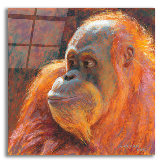 Epic Art 'O Is For Orangutan 2 by Rita Kirkman, Acrylic Glass Wall Art