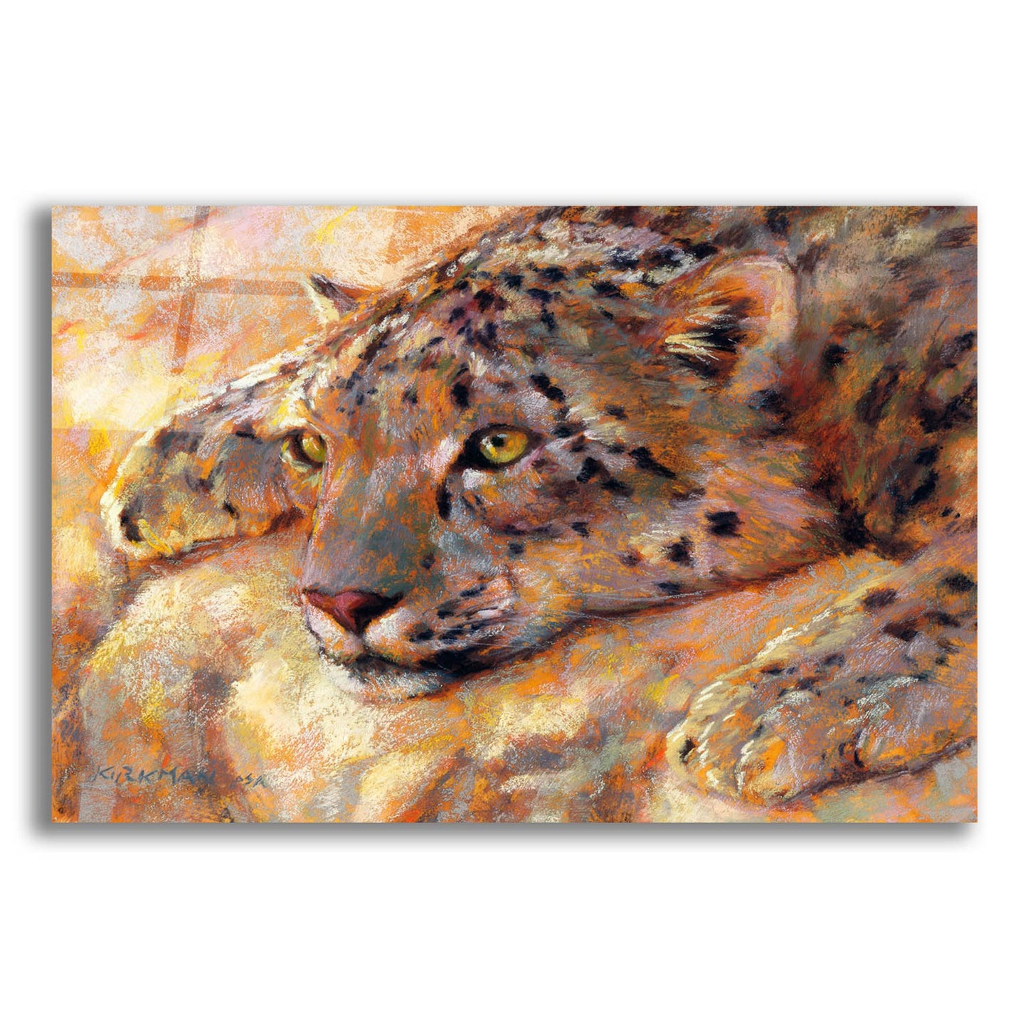 Epic Art 'Snow Leopard 2 by Rita Kirkman, Acrylic Glass Wall Art,24x16
