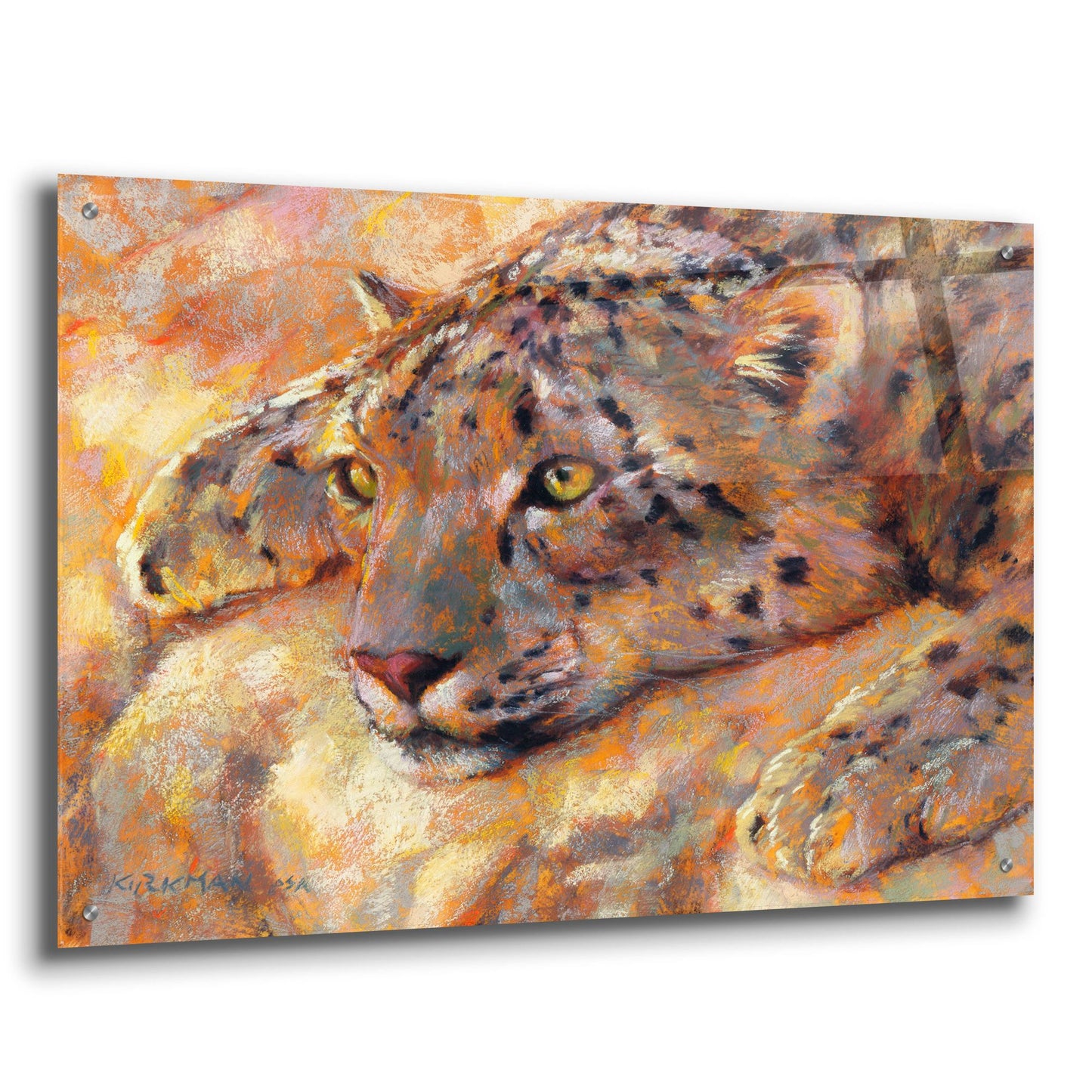 Epic Art 'Snow Leopard 2 by Rita Kirkman, Acrylic Glass Wall Art,36x24