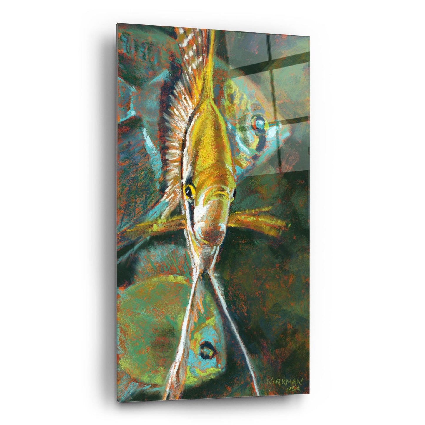 Epic Art 'A Is For Angelfish 2 by Rita Kirkman, Acrylic Glass Wall Art,12x24