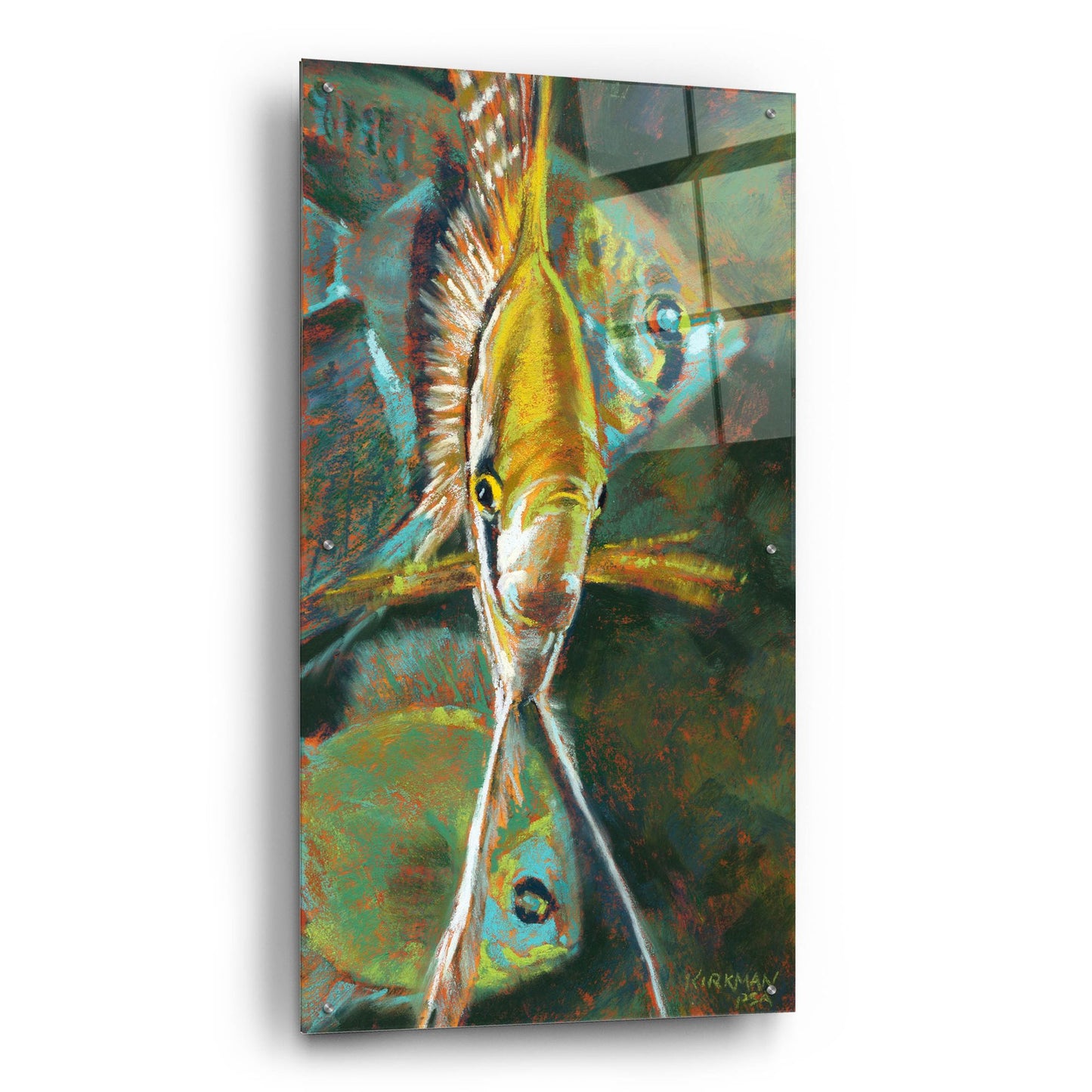 Epic Art 'A Is For Angelfish 2 by Rita Kirkman, Acrylic Glass Wall Art,24x48