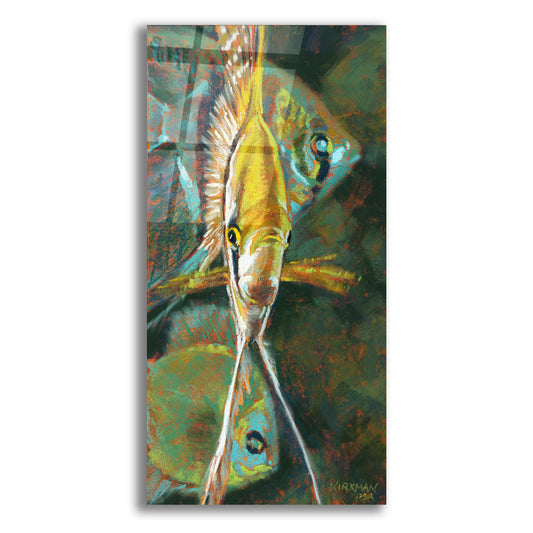 Epic Art 'A Is For Angelfish 2 by Rita Kirkman, Acrylic Glass Wall Art