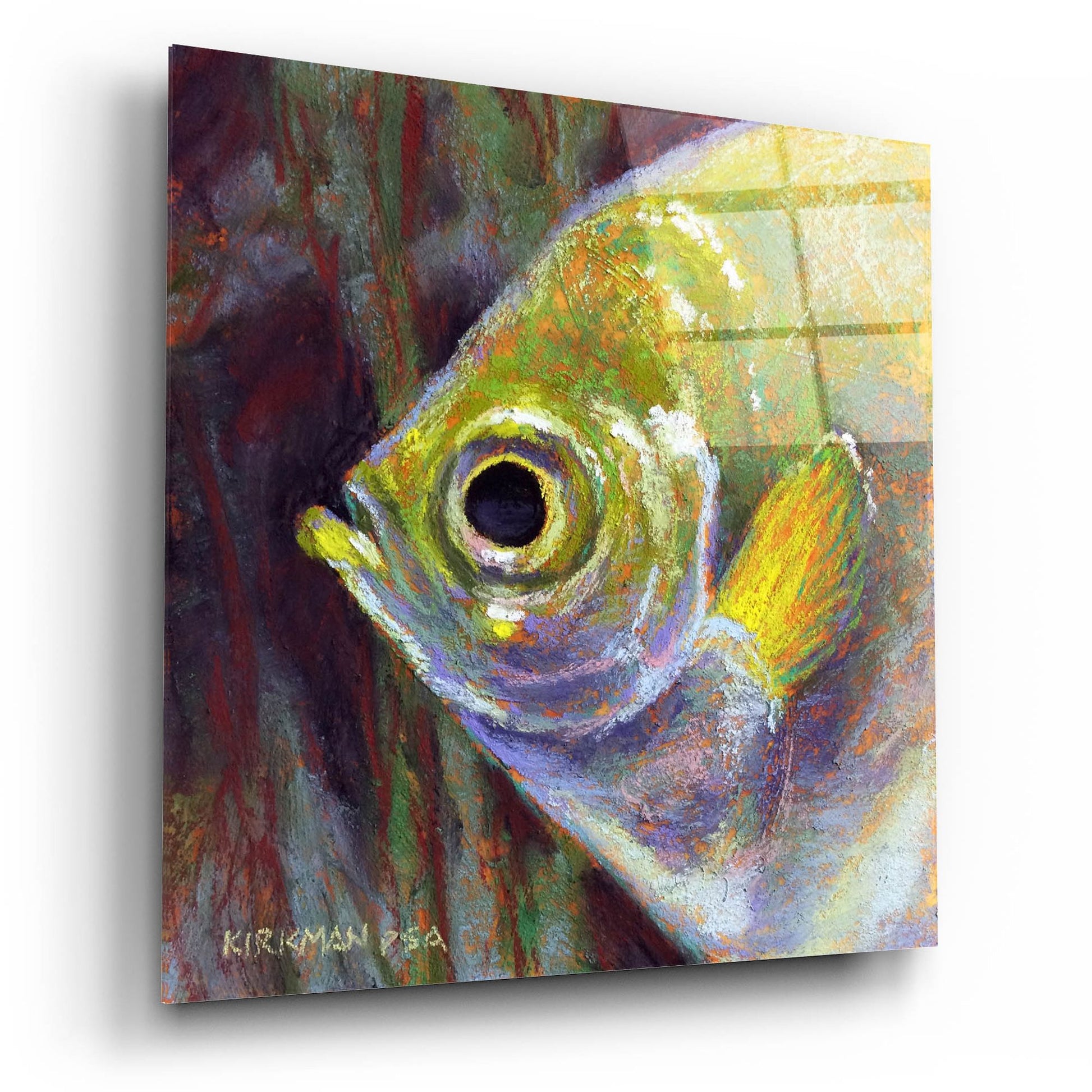 Epic Art 'Profile Of An Angelfish2 by Rita Kirkman, Acrylic Glass Wall Art,12x12