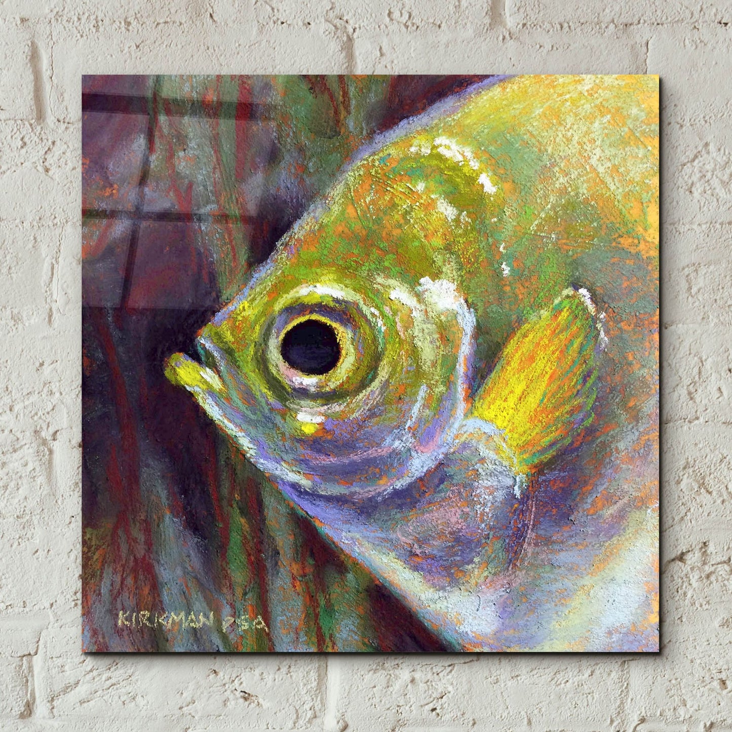 Epic Art 'Profile Of An Angelfish2 by Rita Kirkman, Acrylic Glass Wall Art,12x12