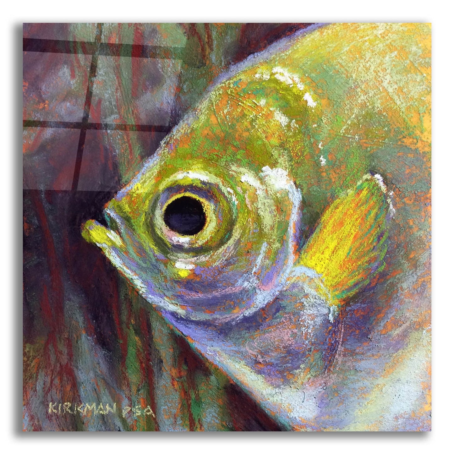 Epic Art 'Profile Of An Angelfish2 by Rita Kirkman, Acrylic Glass Wall Art