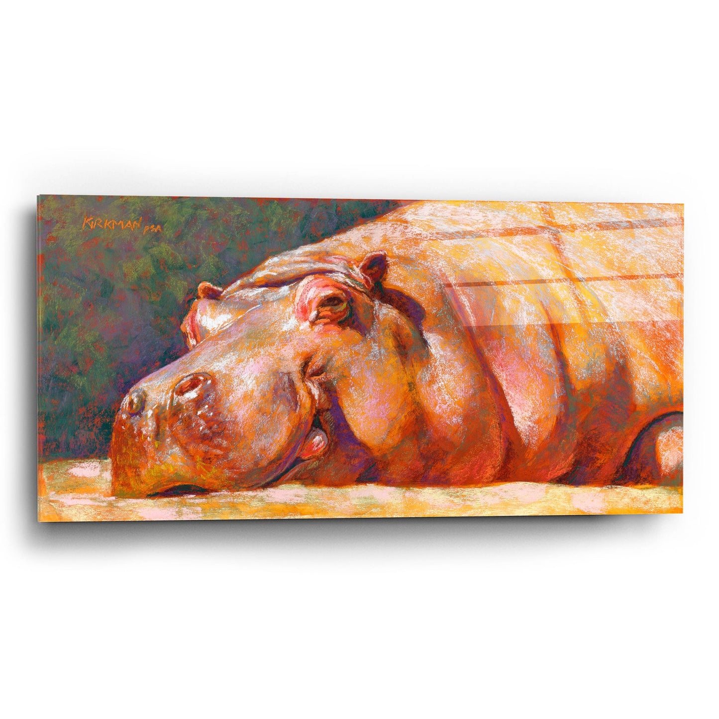 Epic Art 'H Is For Hippo2 by Rita Kirkman, Acrylic Glass Wall Art,24x12