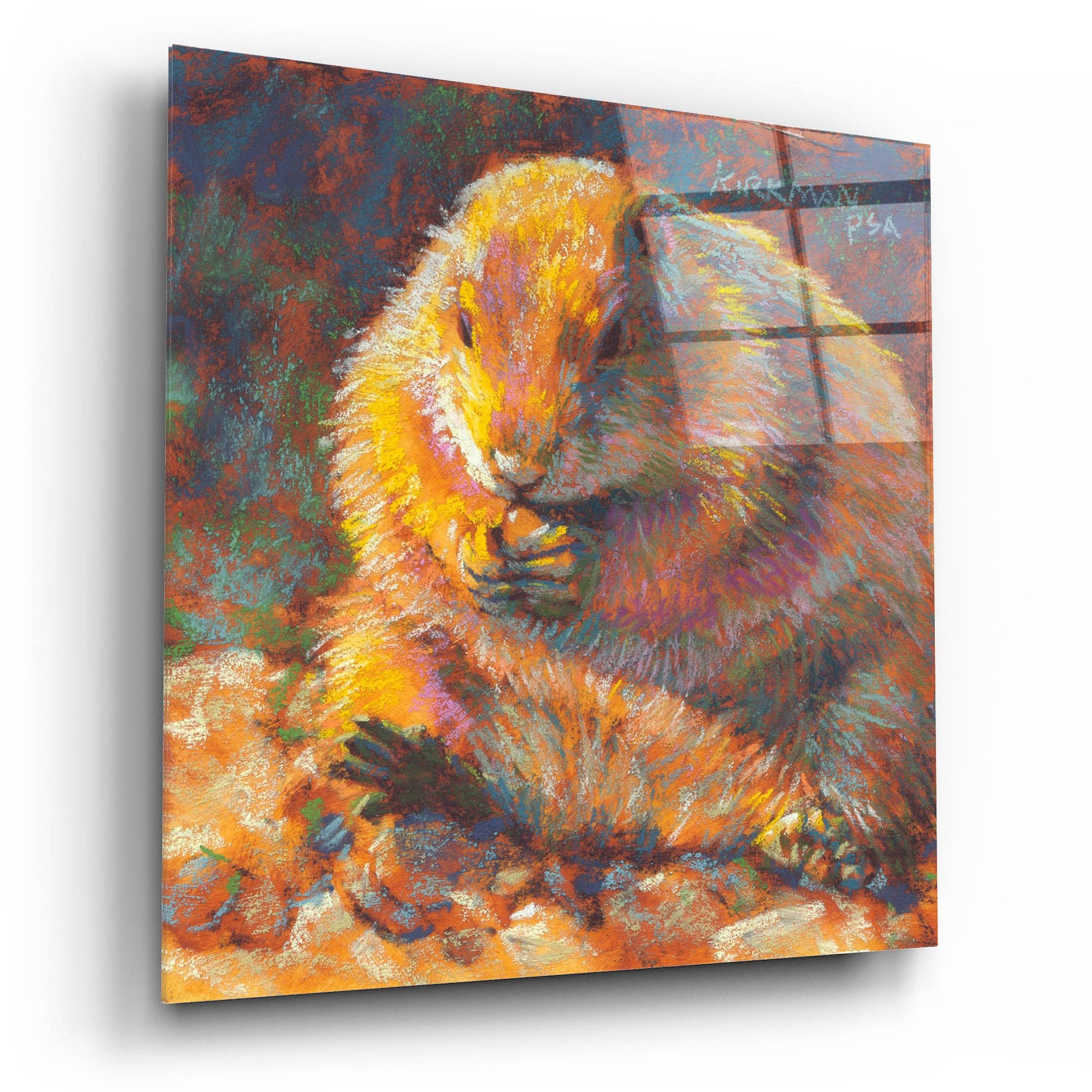 Epic Art 'P Is For Prairie Dog2 by Rita Kirkman, Acrylic Glass Wall Art,12x12