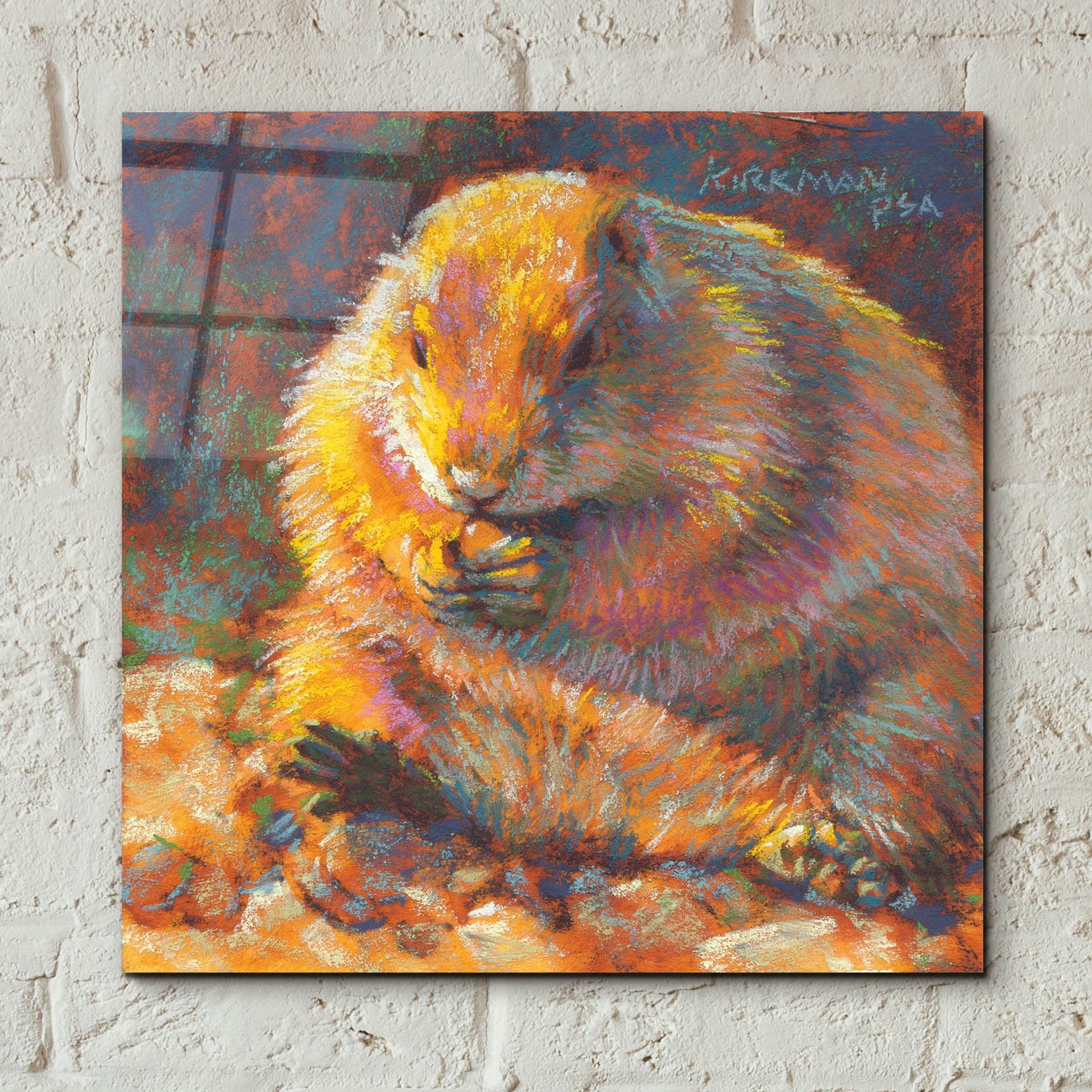 Epic Art 'P Is For Prairie Dog2 by Rita Kirkman, Acrylic Glass Wall Art,12x12