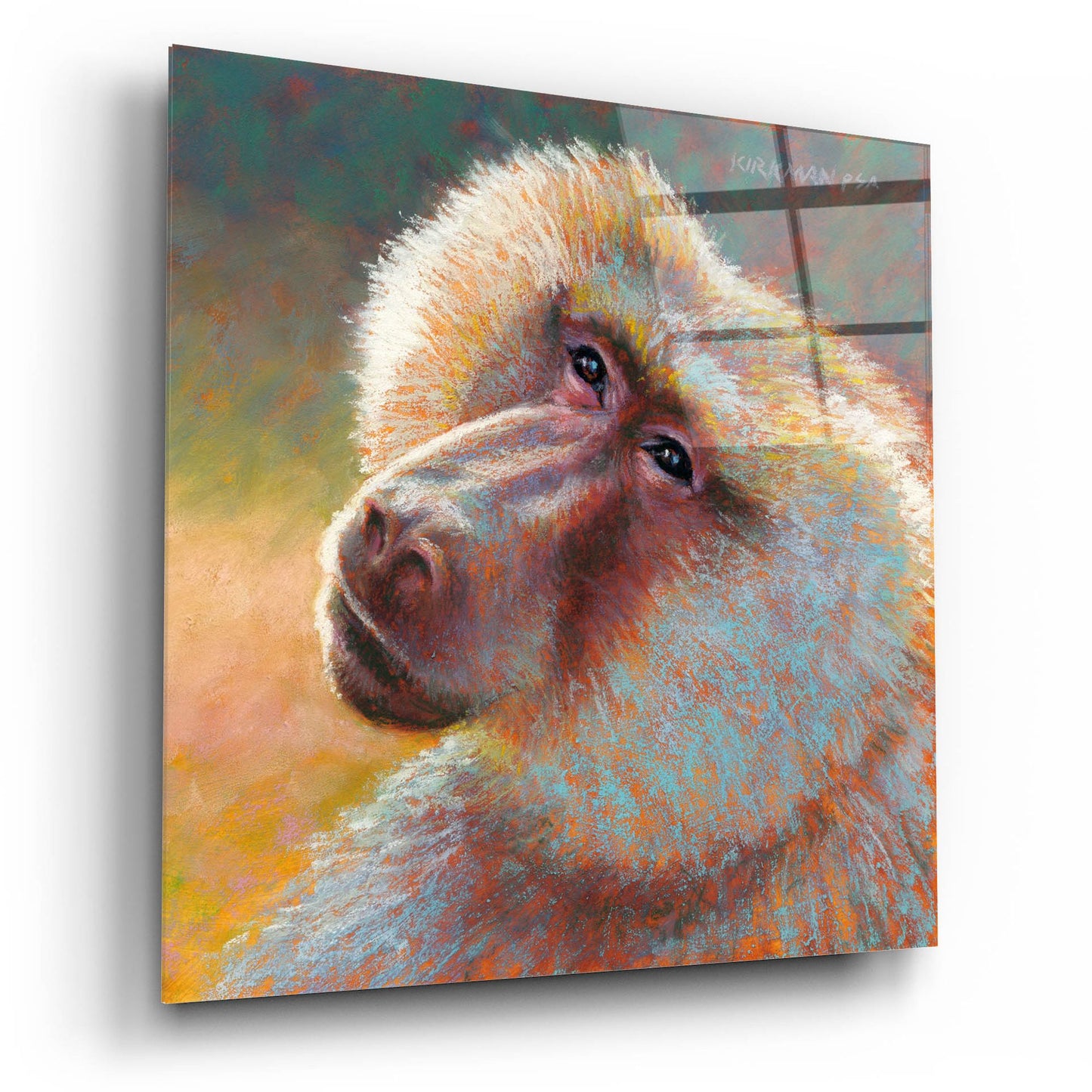 Epic Art 'B Is For Baboon 2 by Rita Kirkman, Acrylic Glass Wall Art,12x12