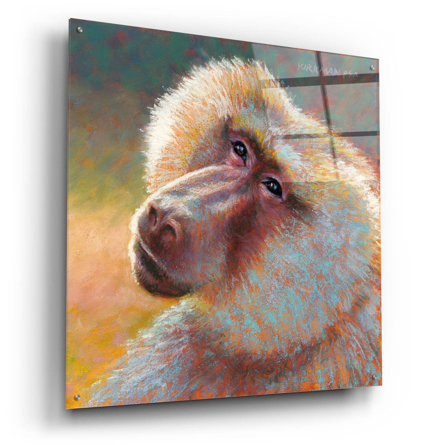 Epic Art 'B Is For Baboon 2 by Rita Kirkman, Acrylic Glass Wall Art,36x36