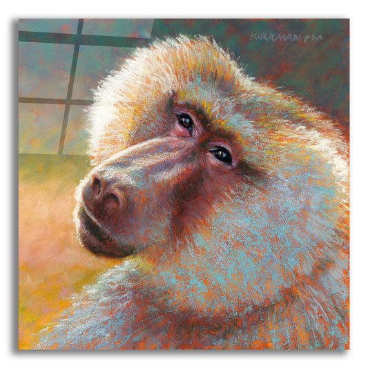 Epic Art 'B Is For Baboon 2 by Rita Kirkman, Acrylic Glass Wall Art