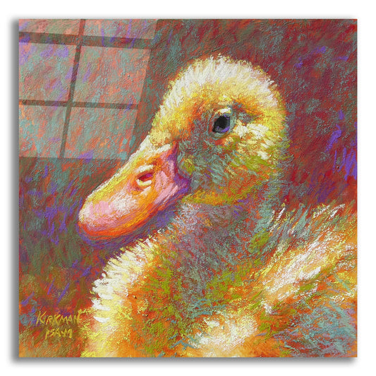 Epic Art 'Ducky 2 by Rita Kirkman, Acrylic Glass Wall Art