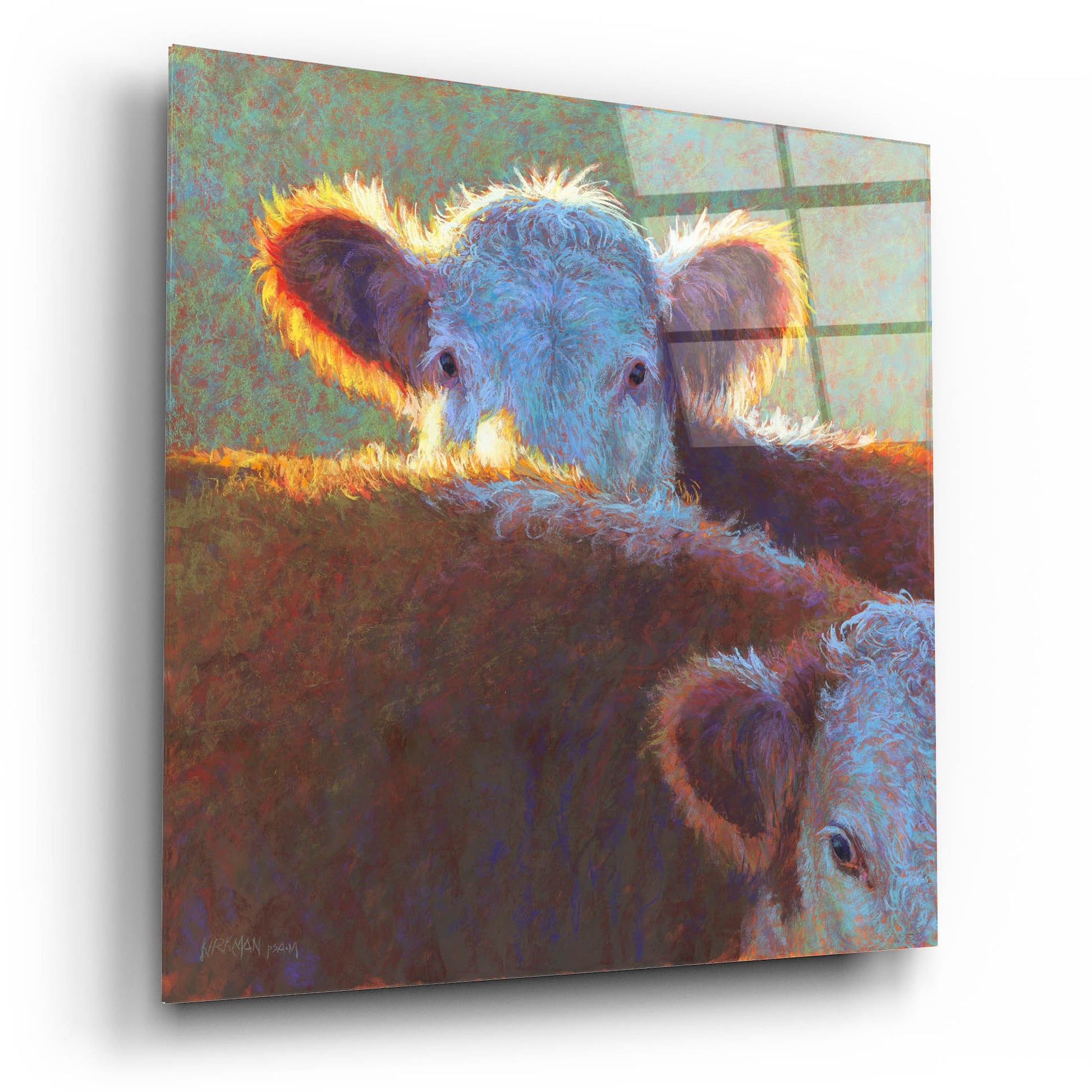 Epic Art 'Paak-A-Moo2 by Rita Kirkman, Acrylic Glass Wall Art,12x12