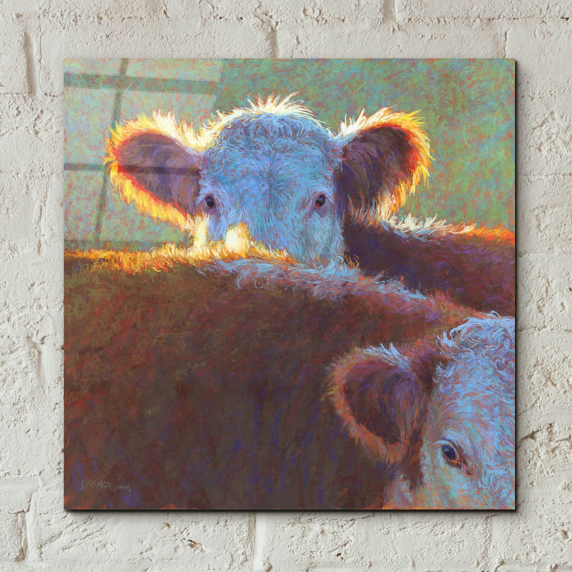 Epic Art 'Paak-A-Moo2 by Rita Kirkman, Acrylic Glass Wall Art,12x12